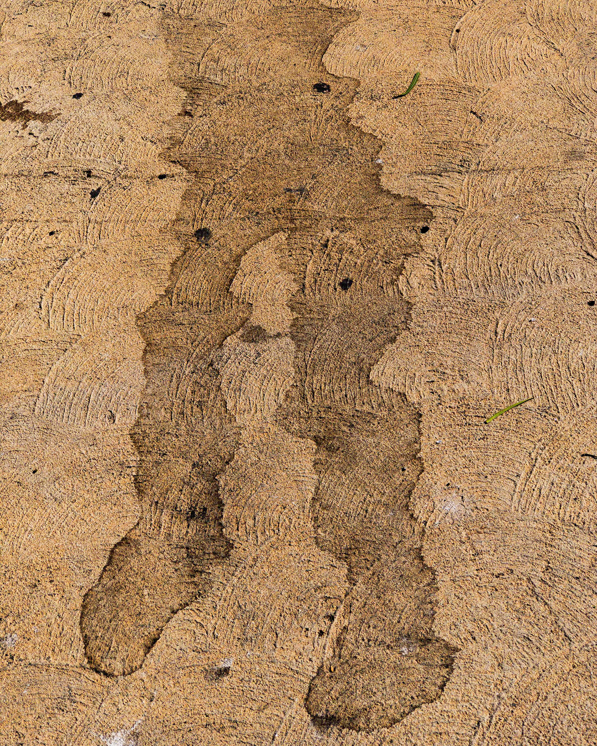 Glassell Park (Leg Stain)