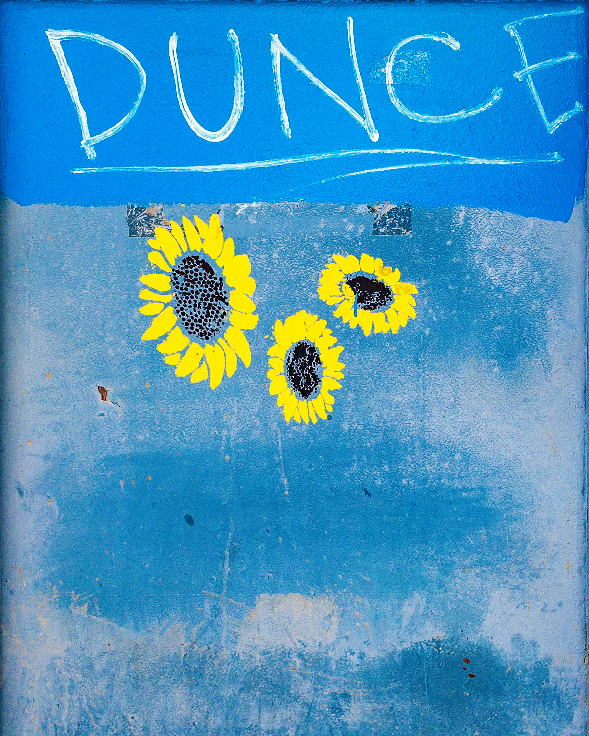 Brooklyn (Dunce Flowers)