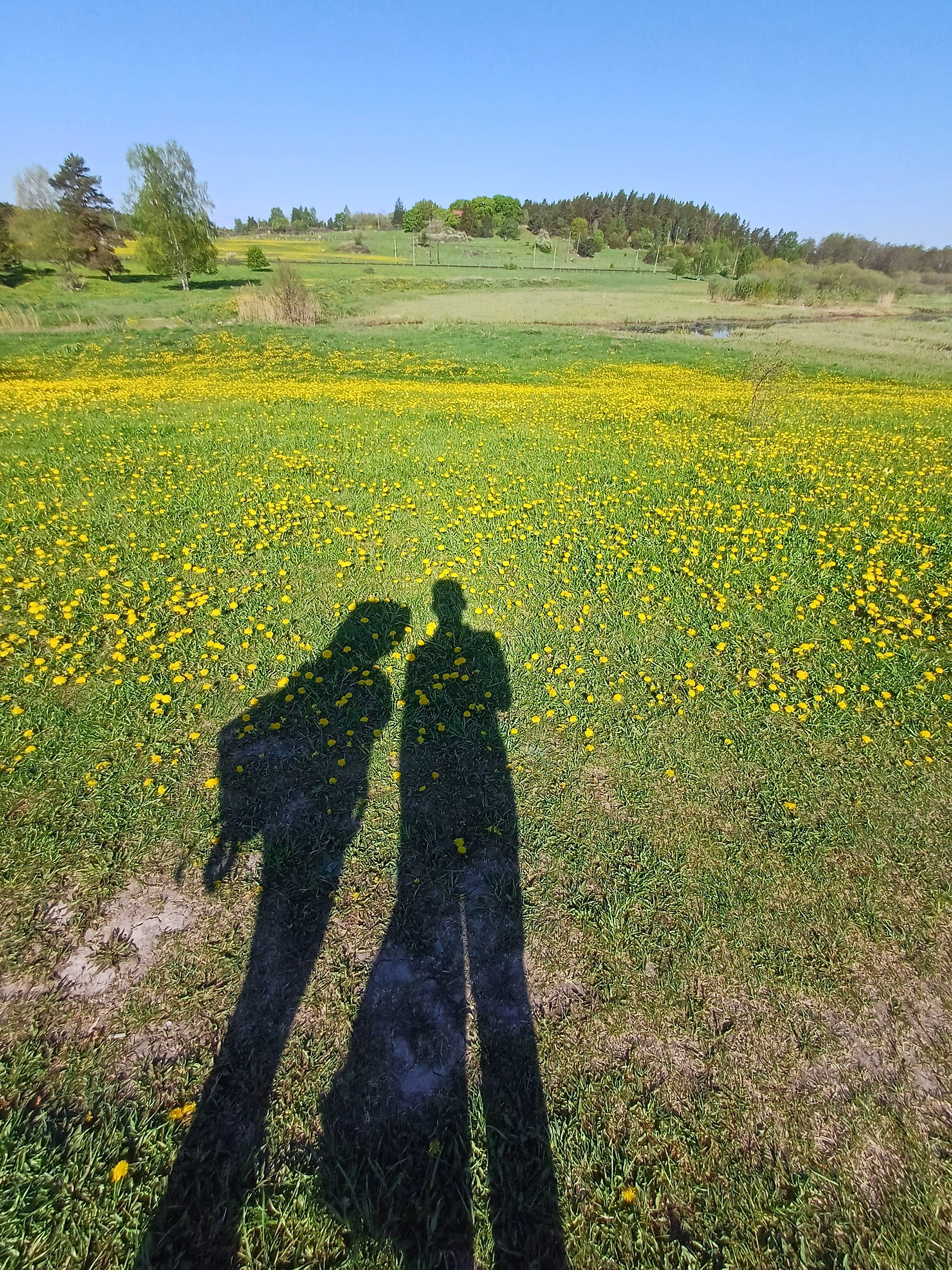 Knivsta - Sweden