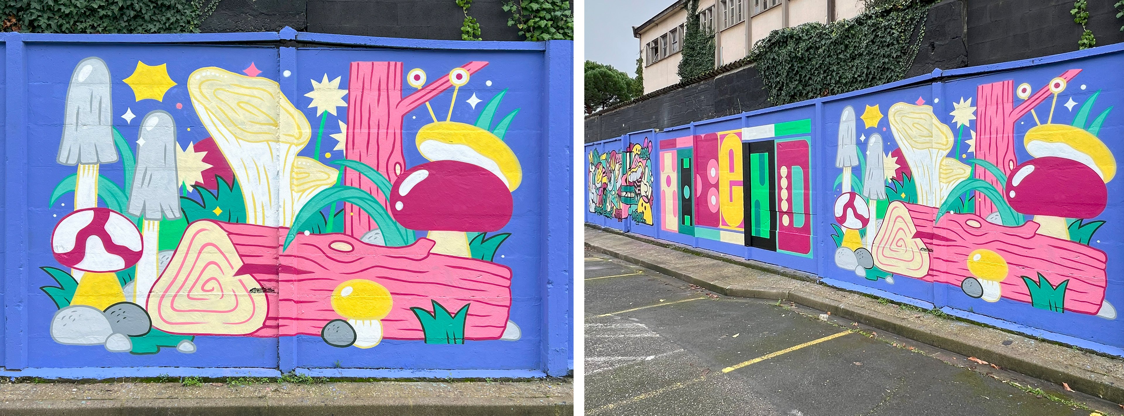 WILD MURAL AT 1000M² (2024)