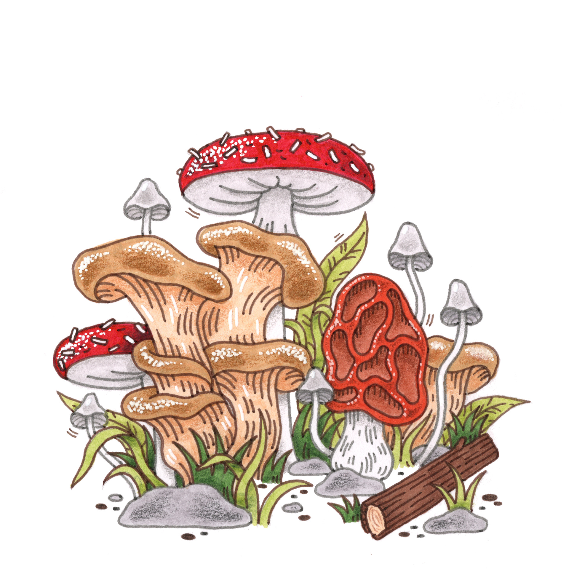 Mushrooms (2021)