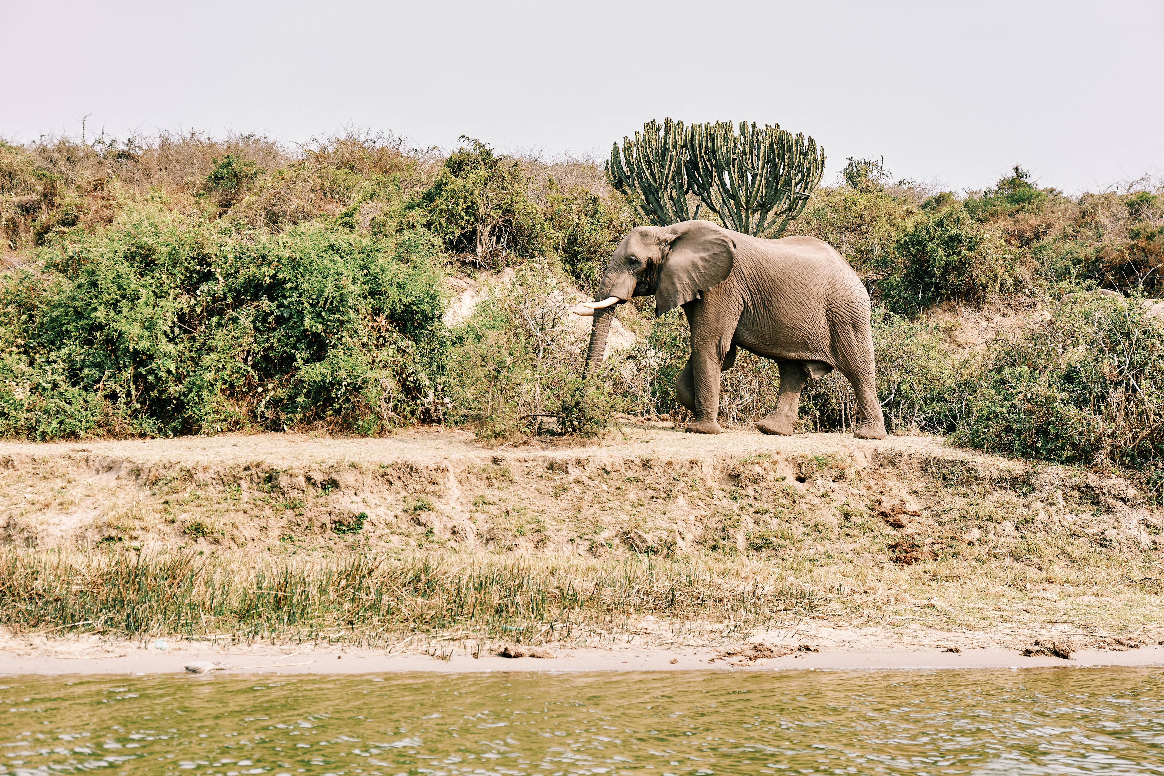 Uganda