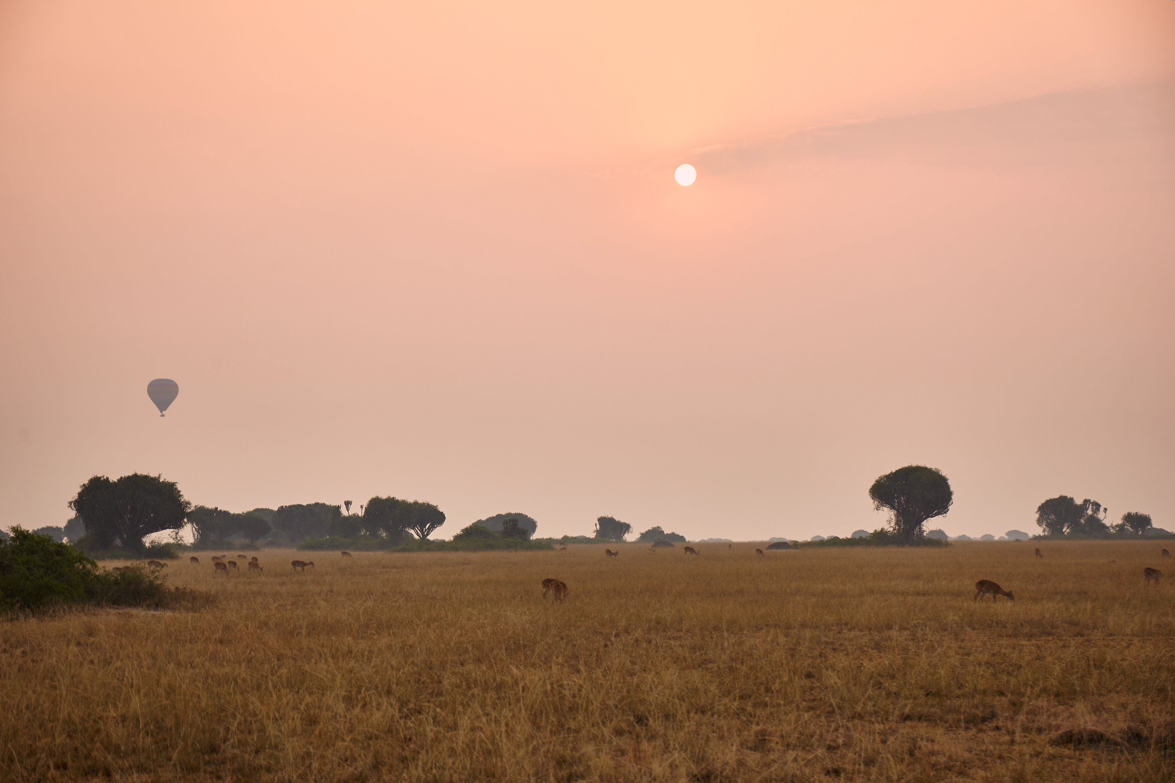 Uganda