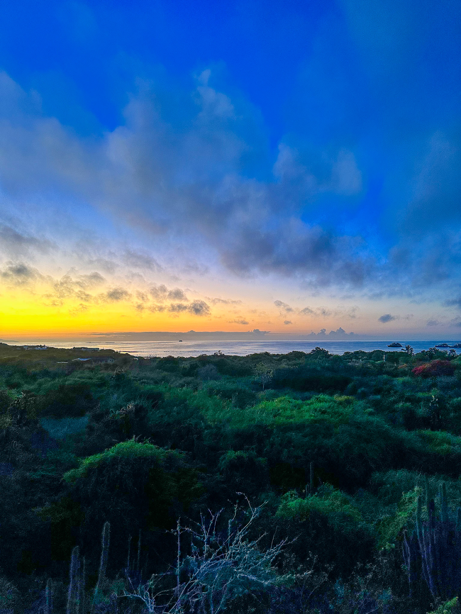 Galapagos Islands