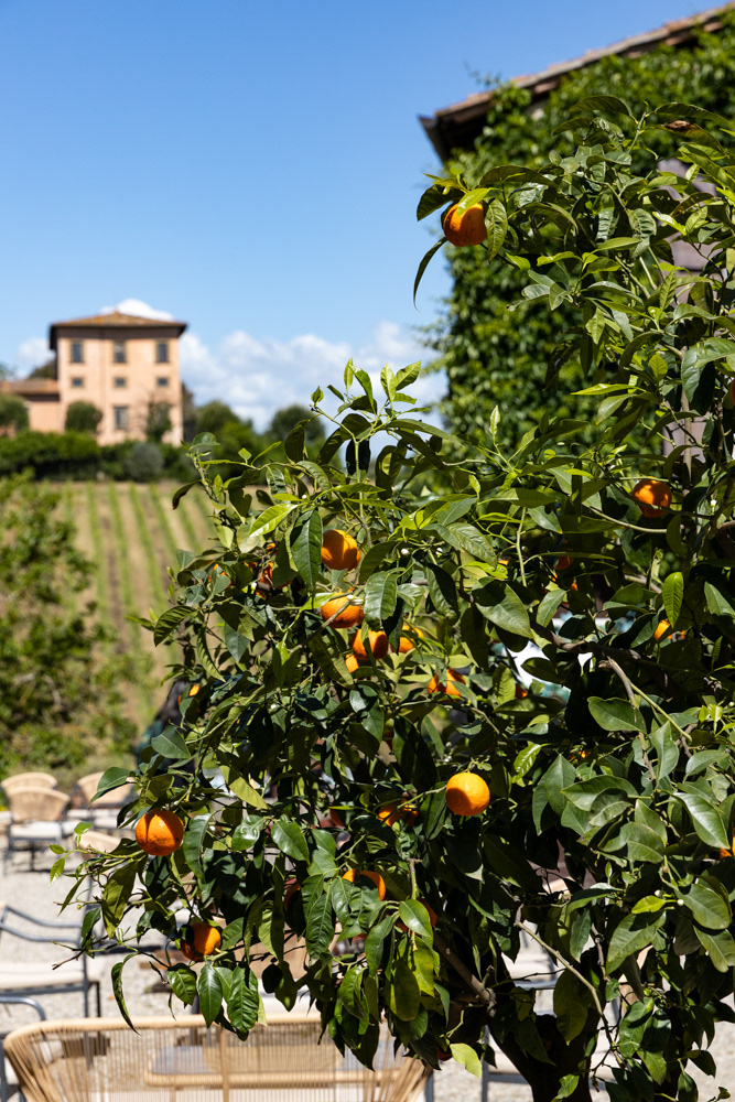 Toscana