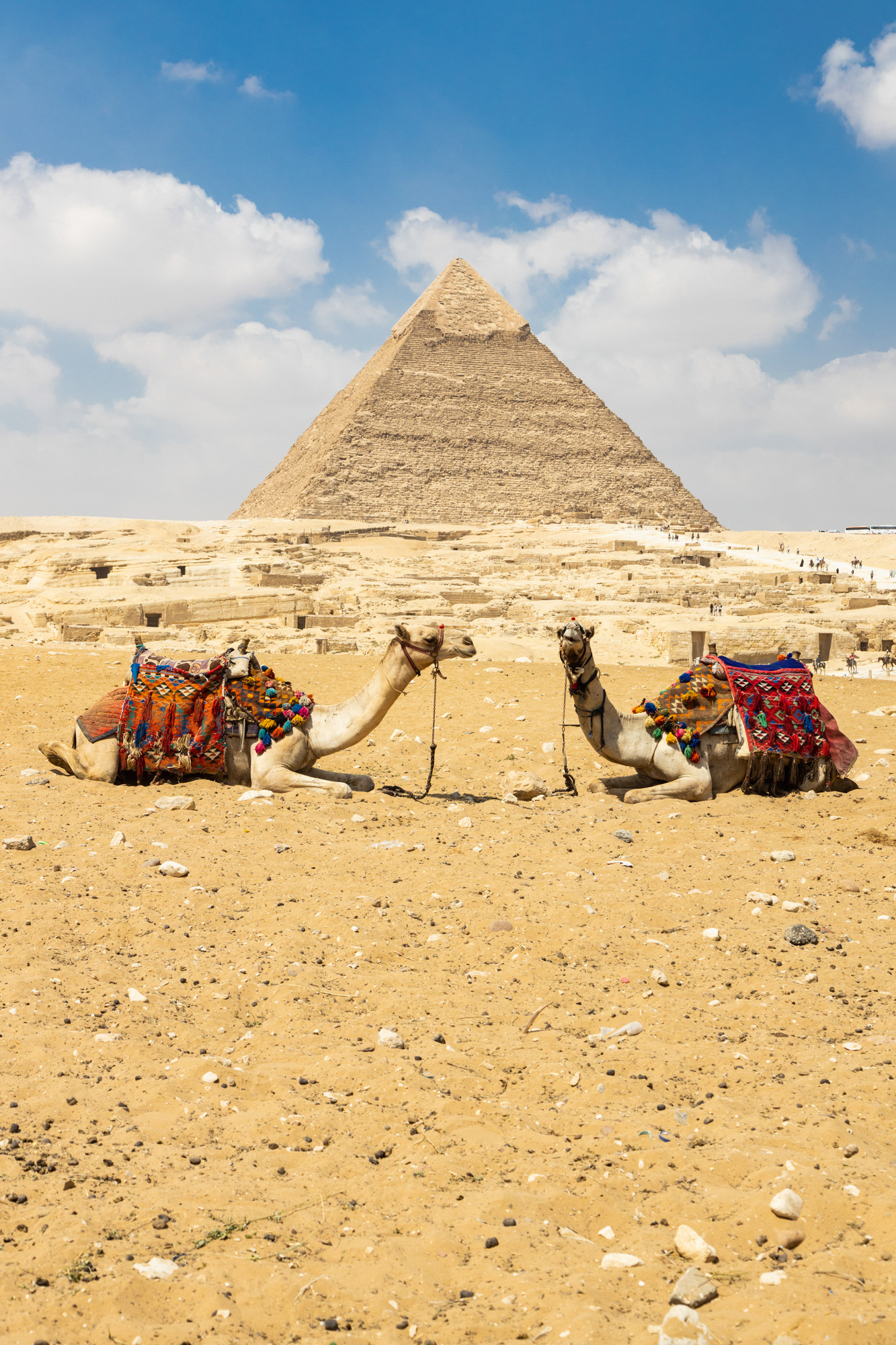 Cairo