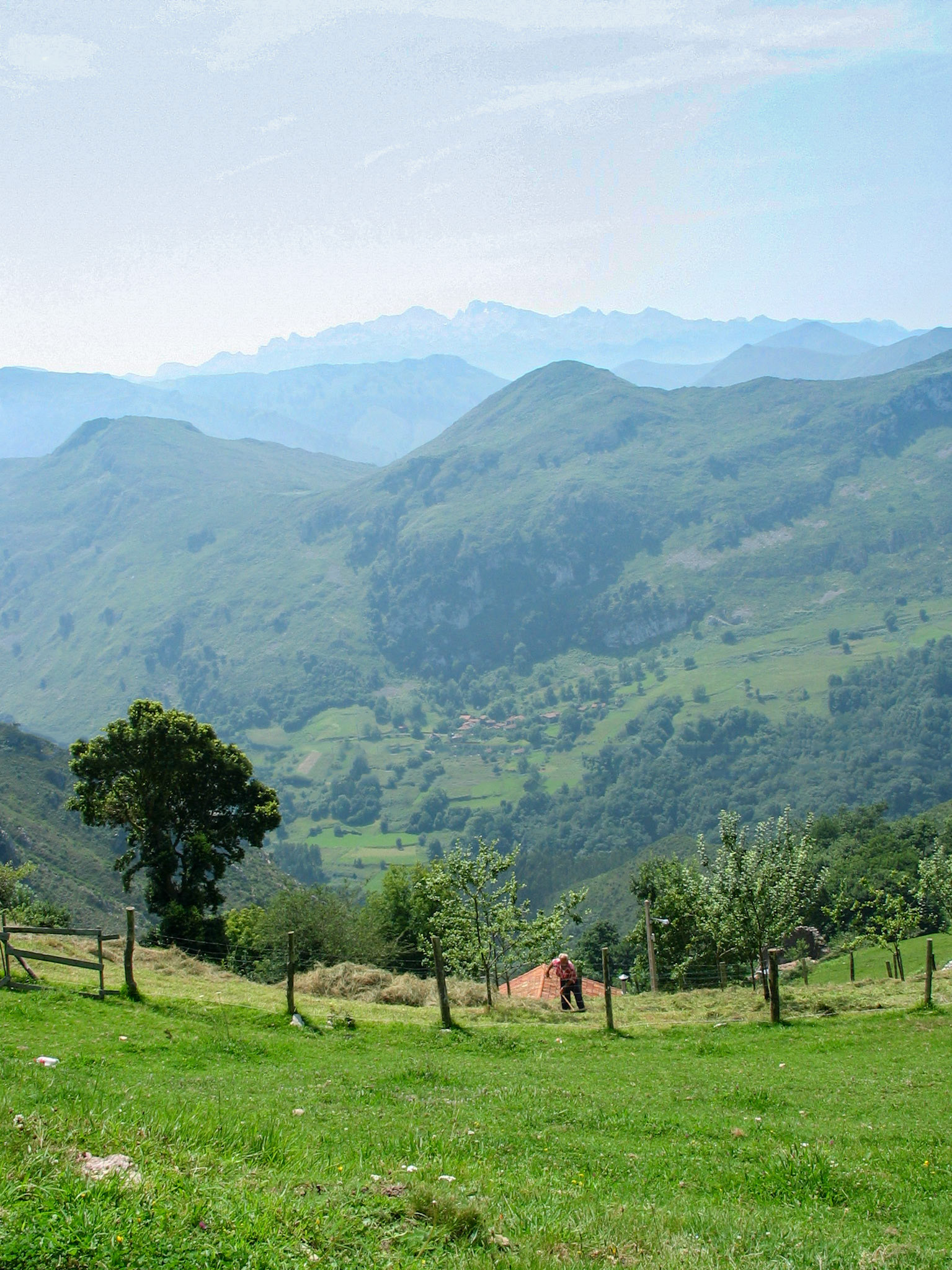 Fresneu