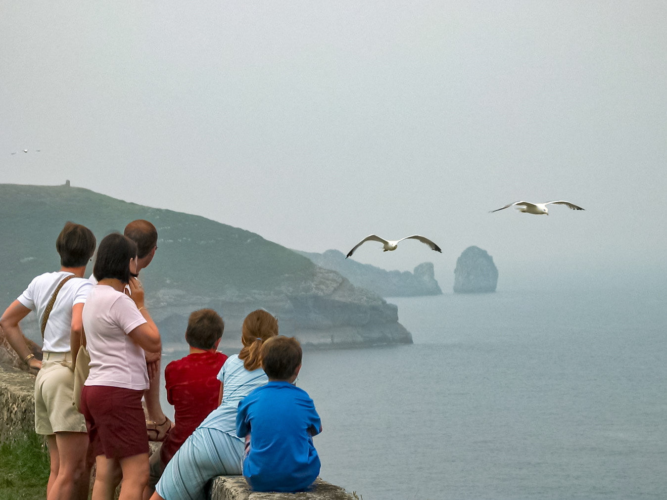 Gaviotas del Paseo San Pedro