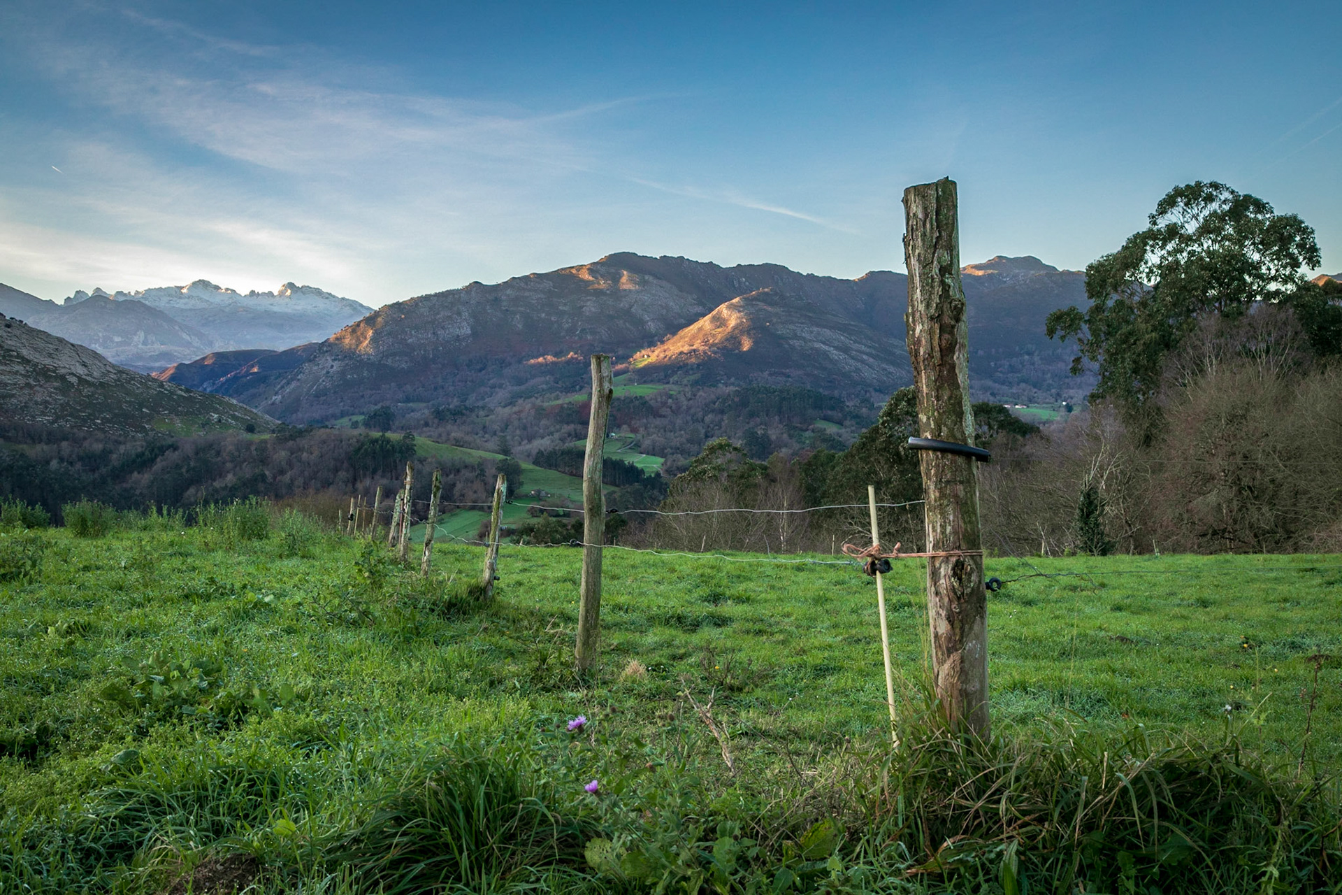 Los Picos de Europa desde El Allende