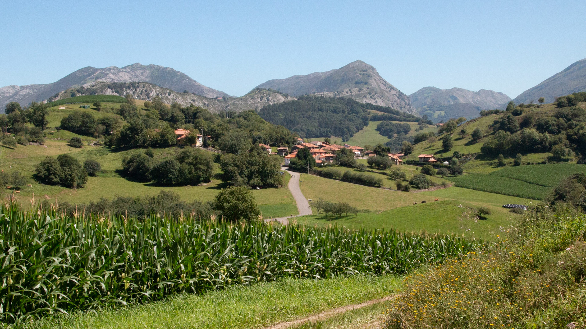 La Malateria