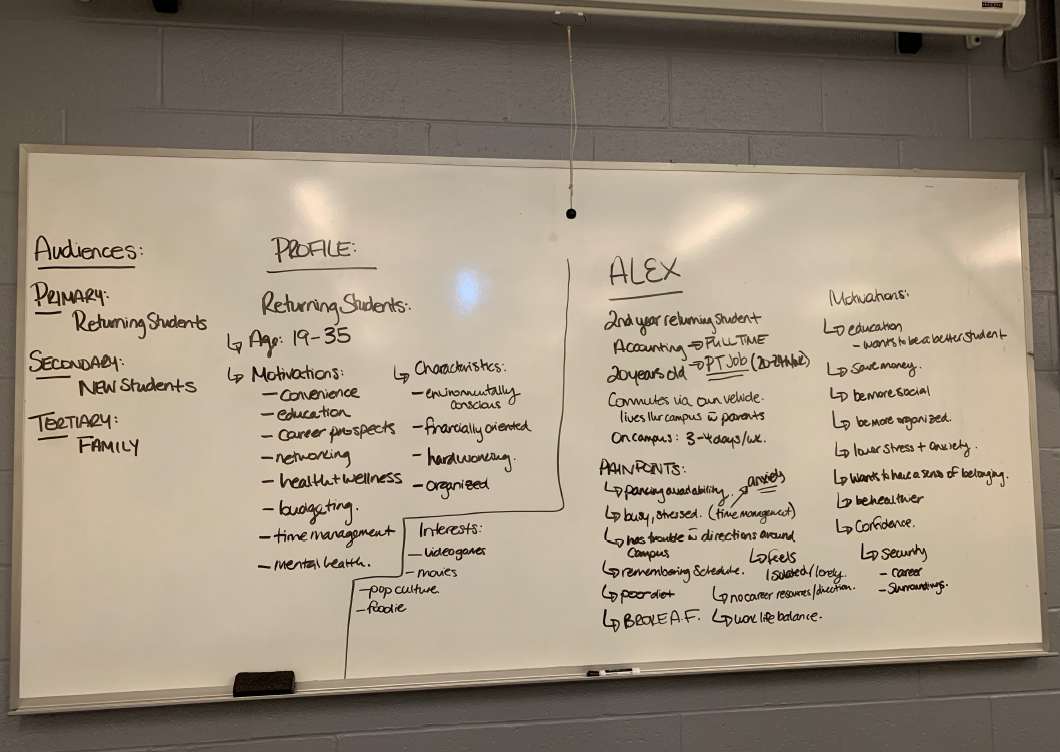 User Persona & Profile Continued: Alex Persona
