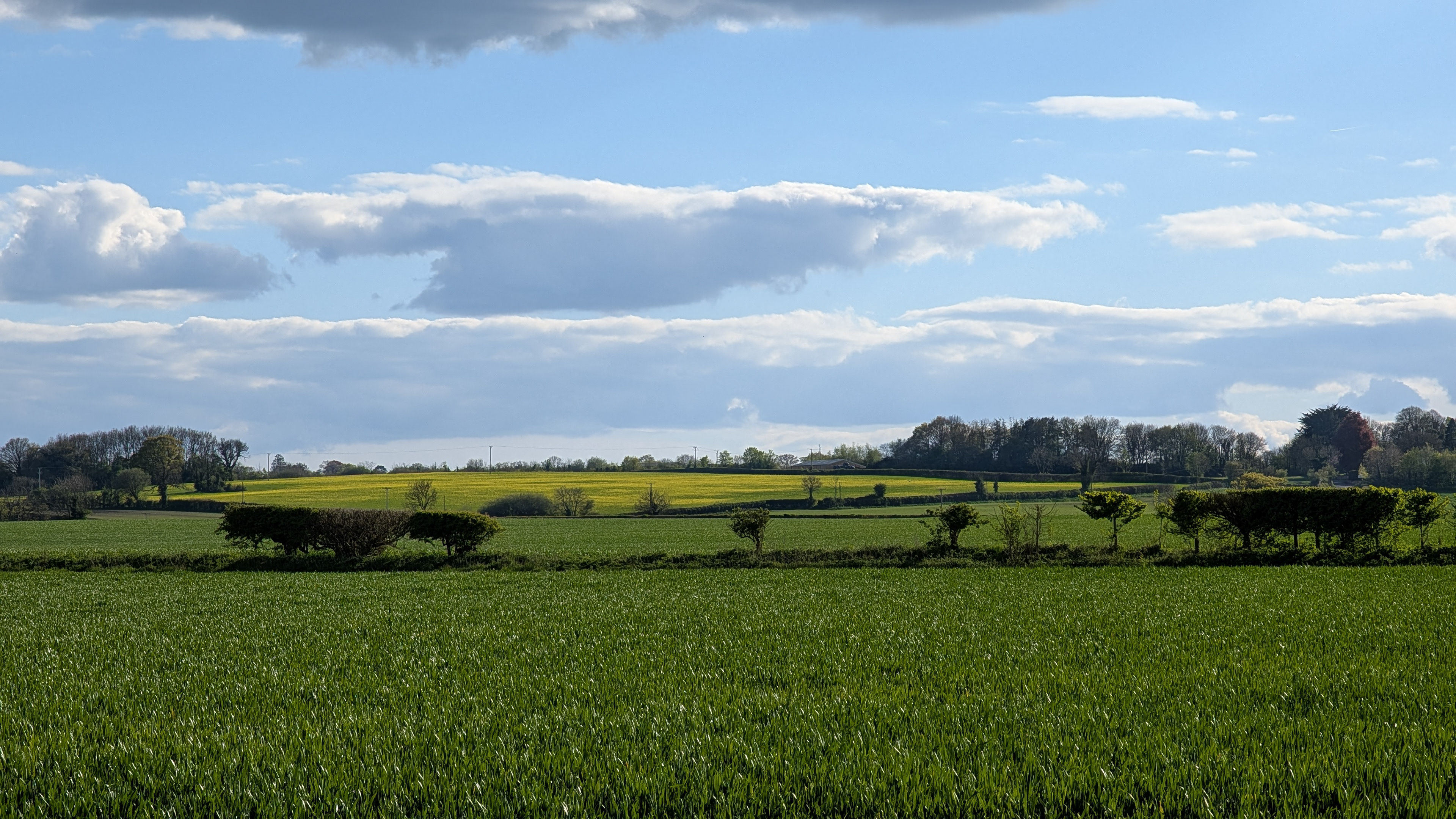 View to site from the top of Jack and Jill Hill