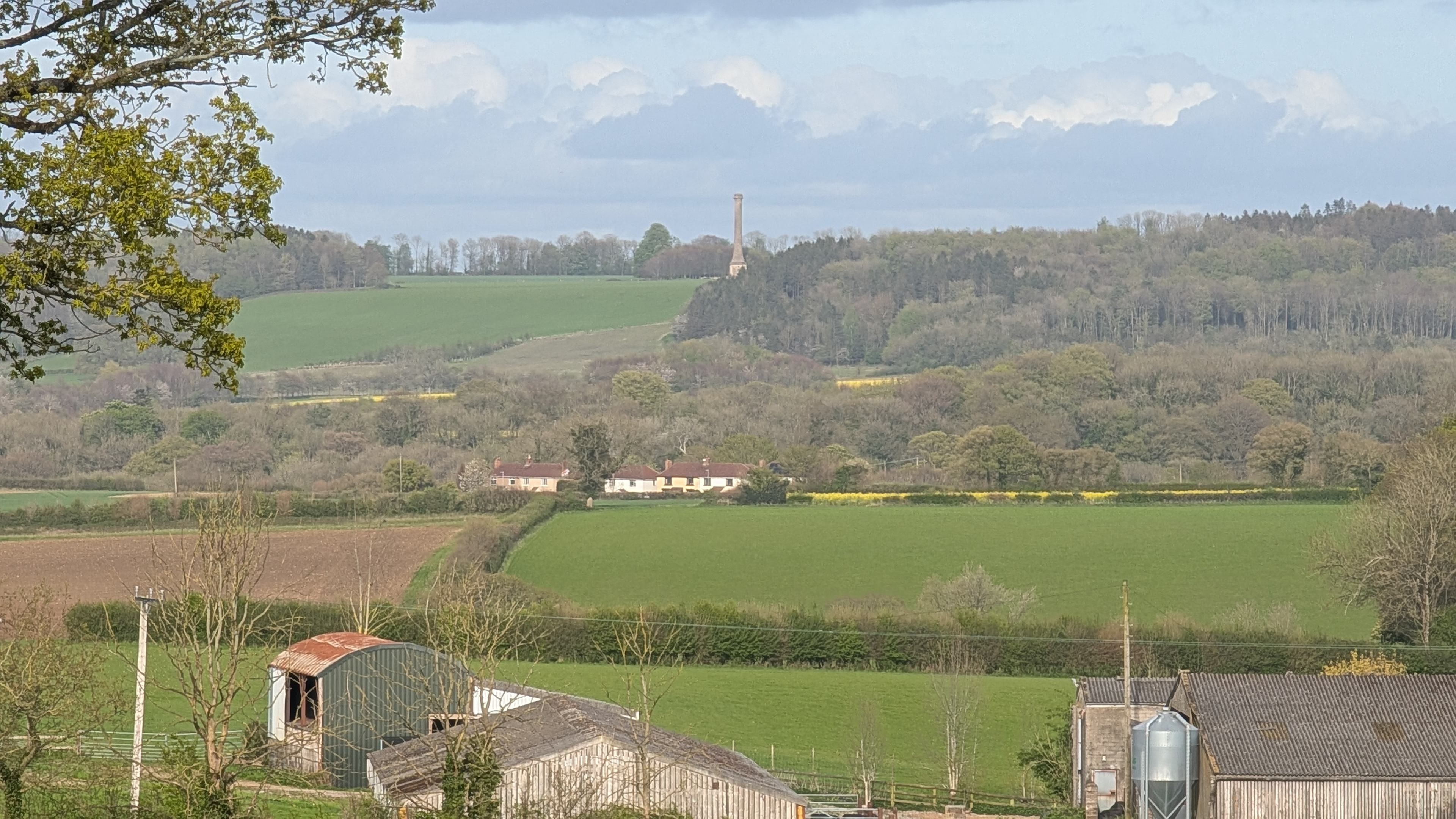 View to South View Cottages with Ammerdown column visible beyond