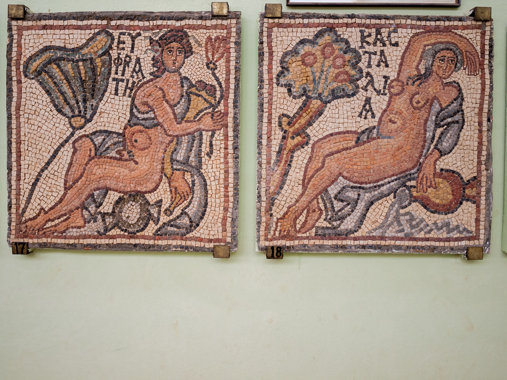 Qasr Libya Byzantin mosaic 17 and 18