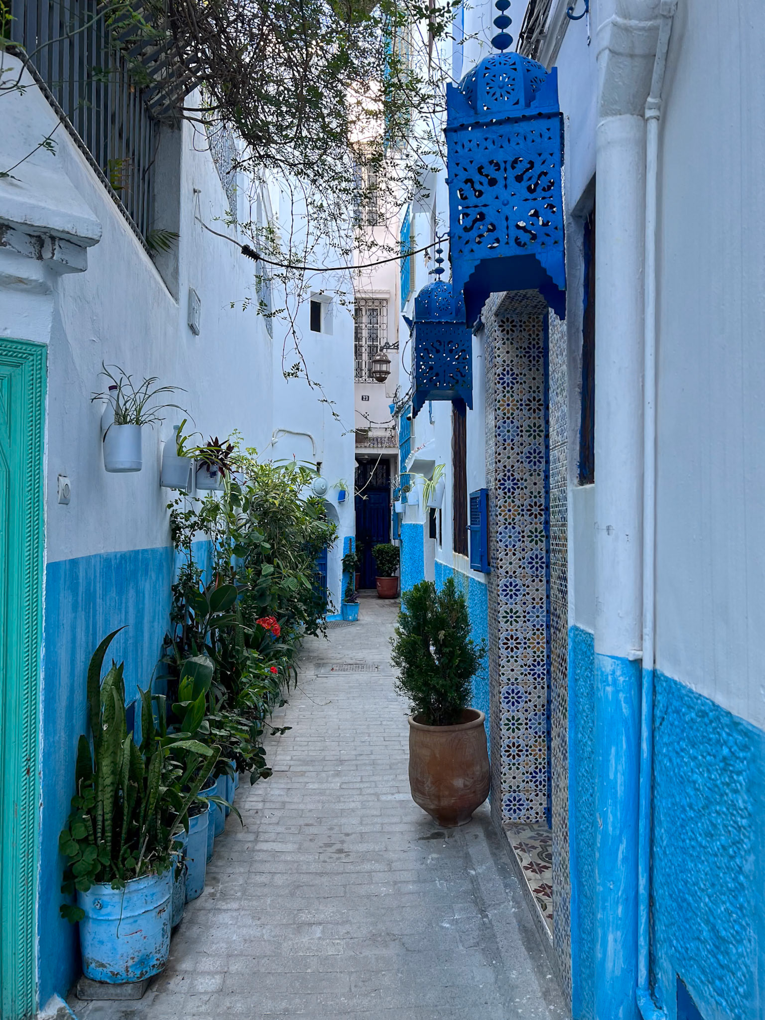 Narrow street in Tangier medina