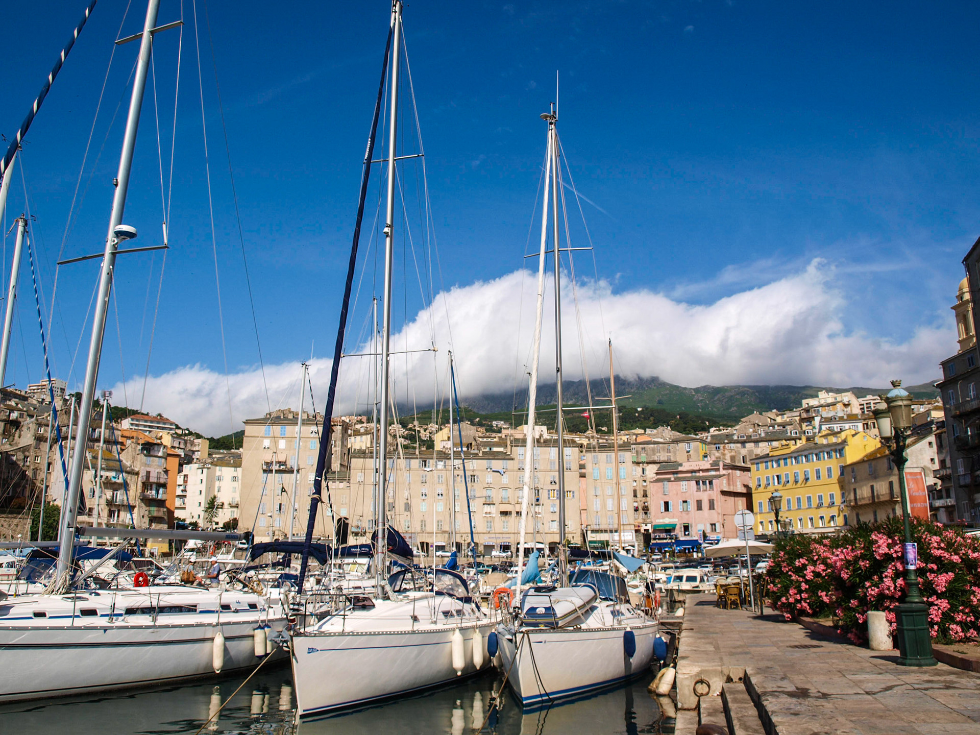 Bastia marina