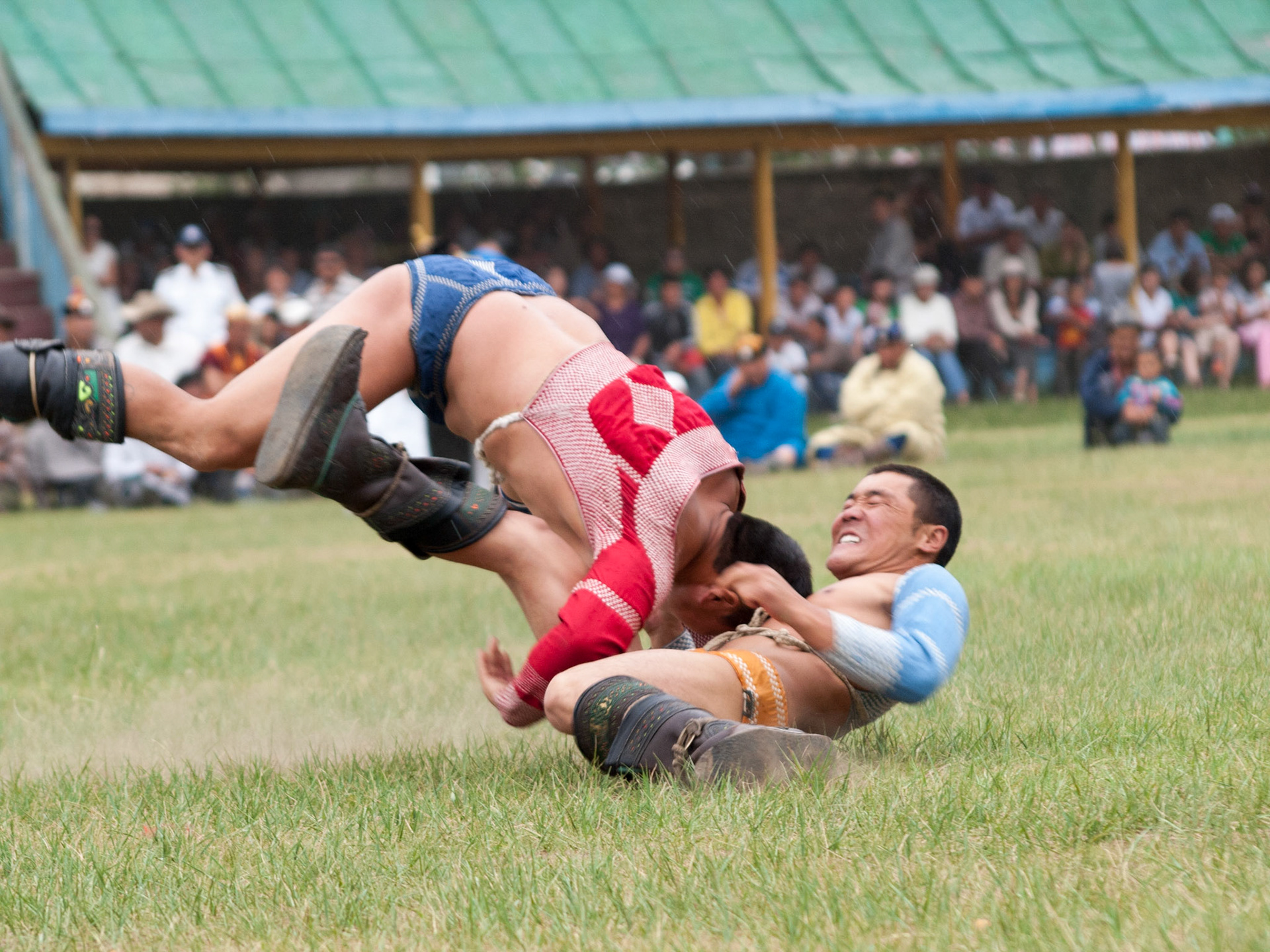 Wrestling in Tsetserleg Naadam