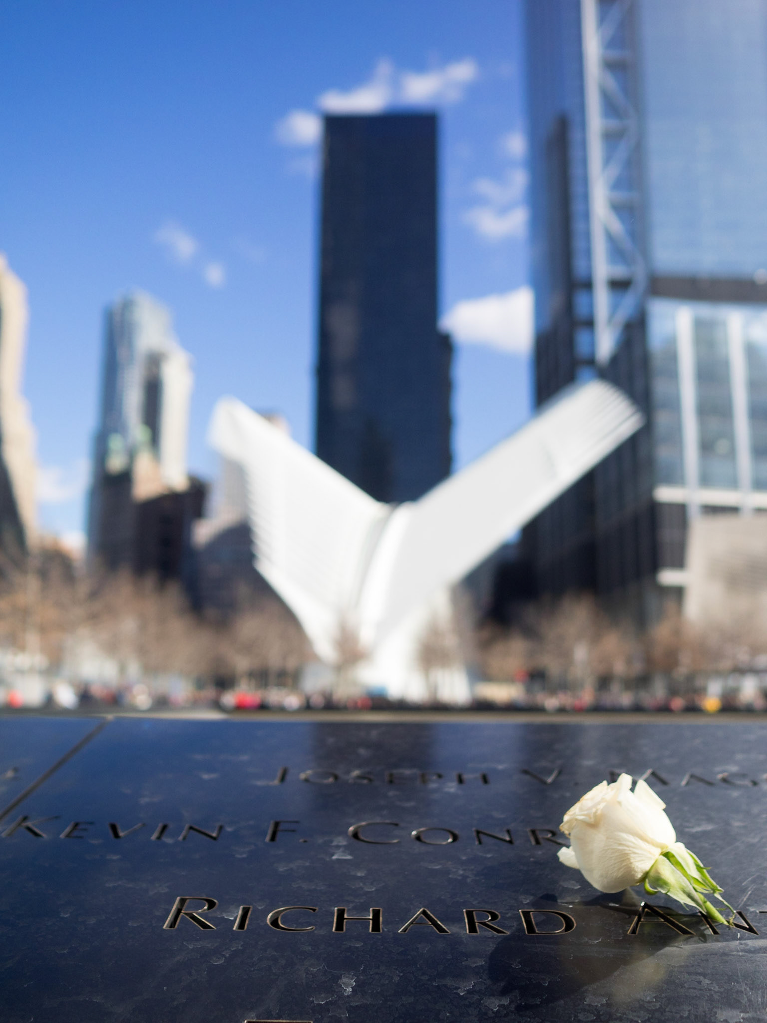 A white rose by a September 11 victim name on the North Pool of the 911 Memorial