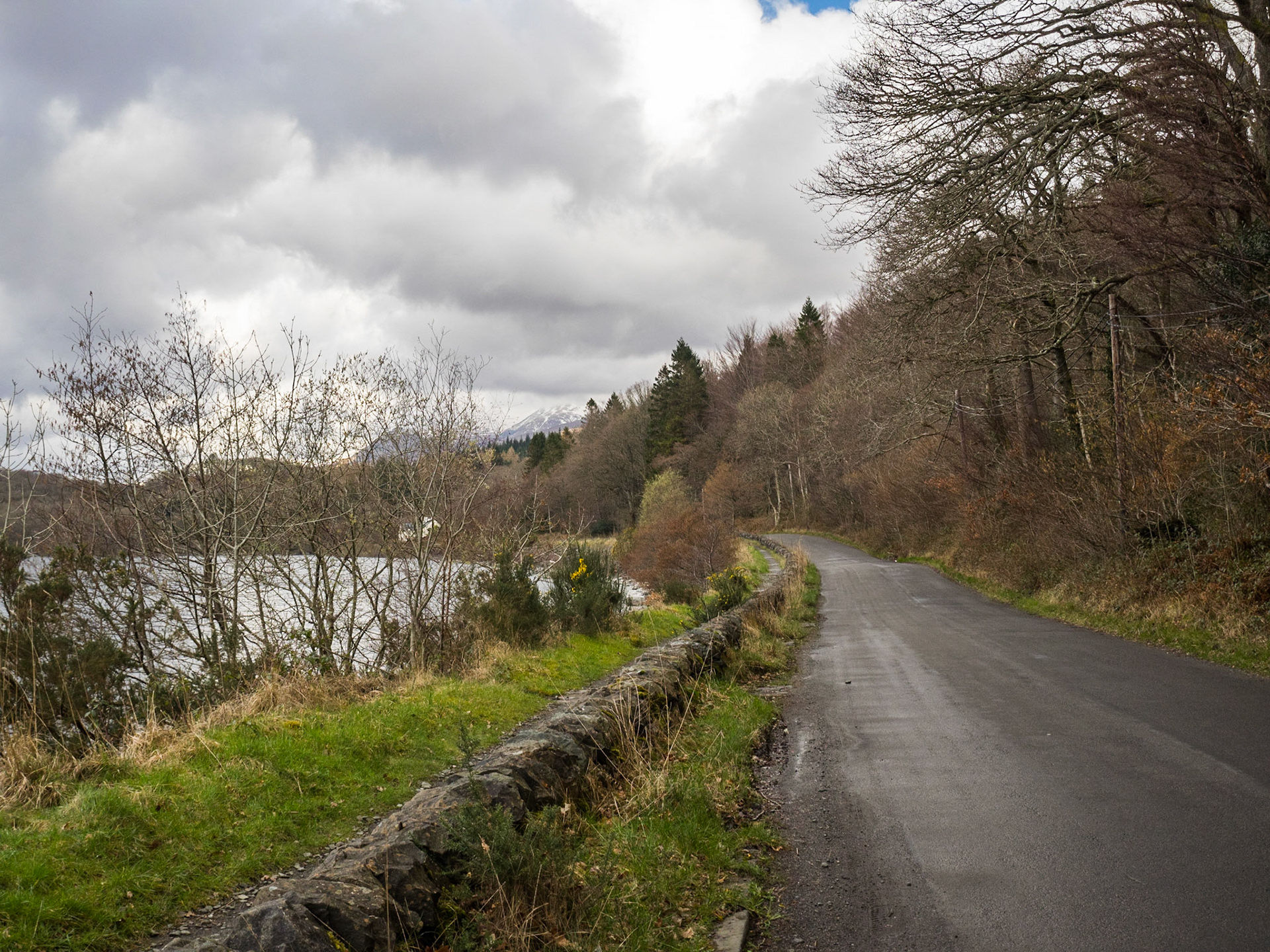 Road along Loch Lomond margins