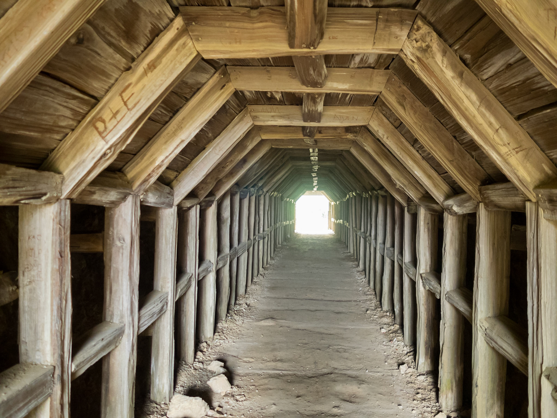Partington Cove trail wooden tunnel