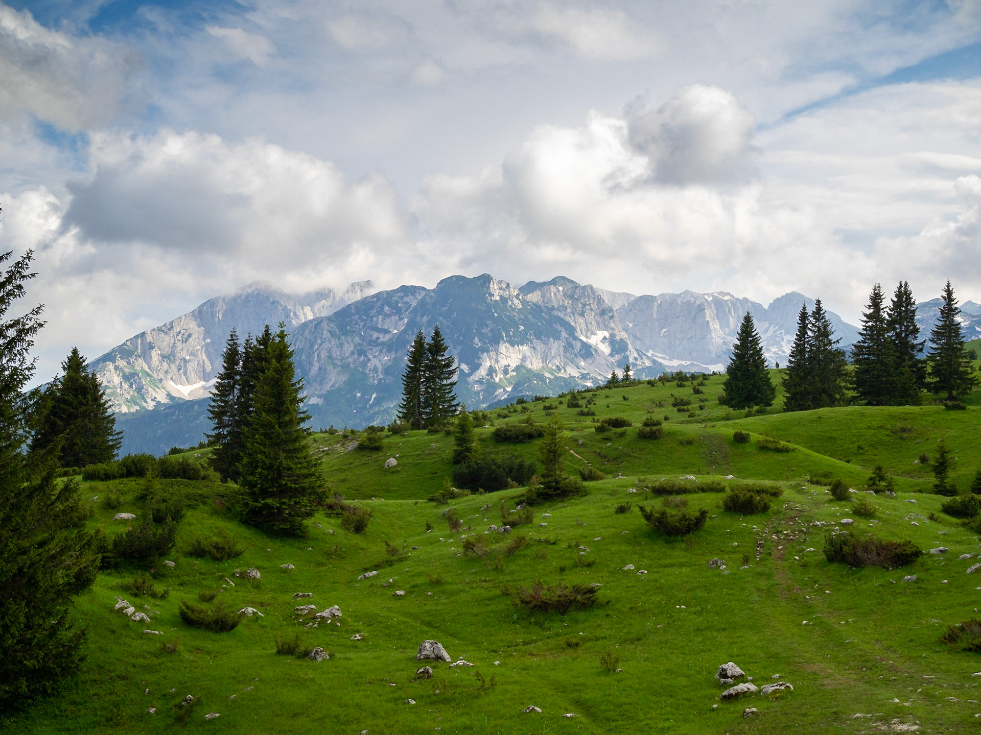 Rolling hills and snow covered peaks of Durmitor National Park