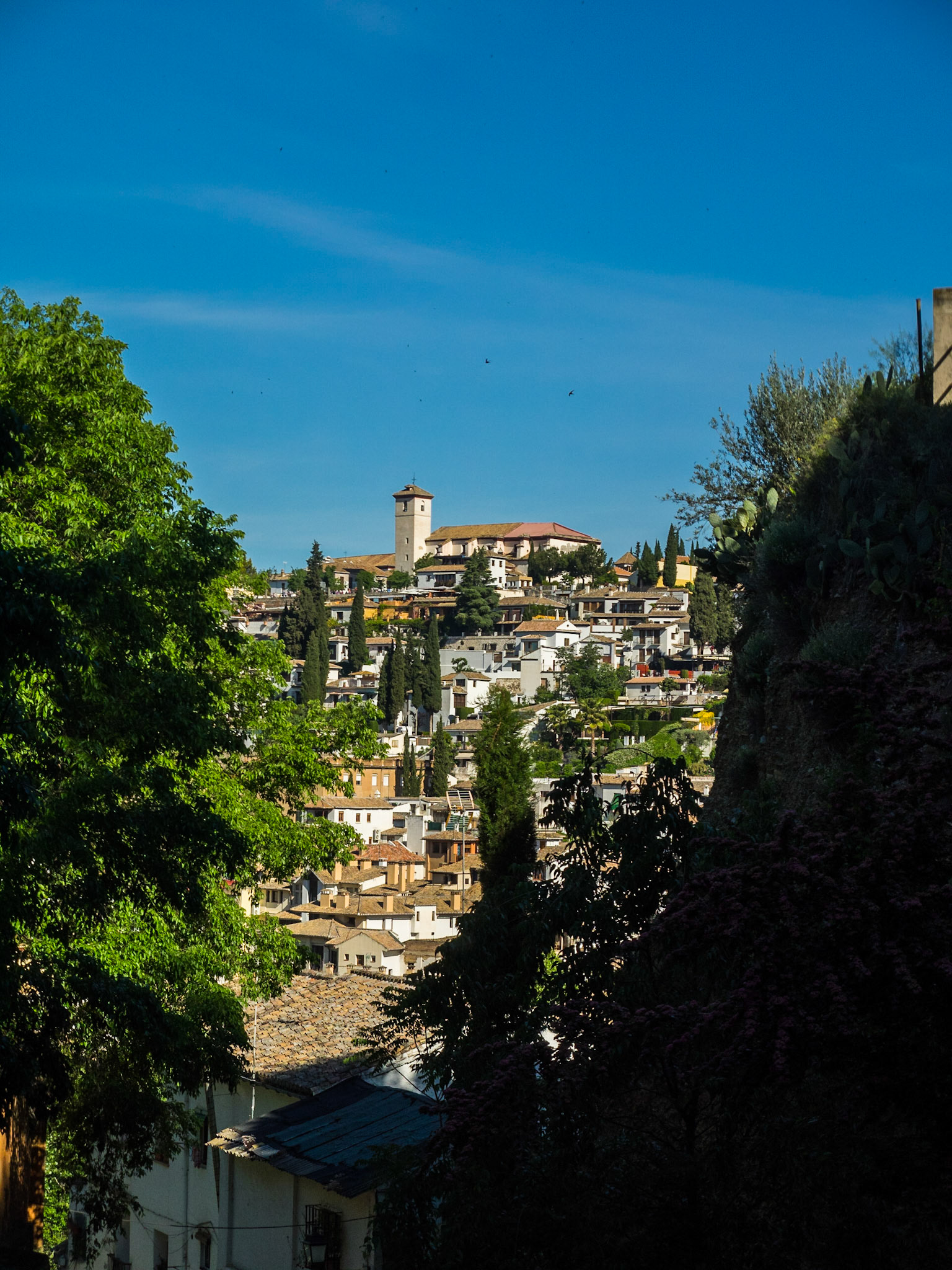 Europe Spain Cordoba Andalucia