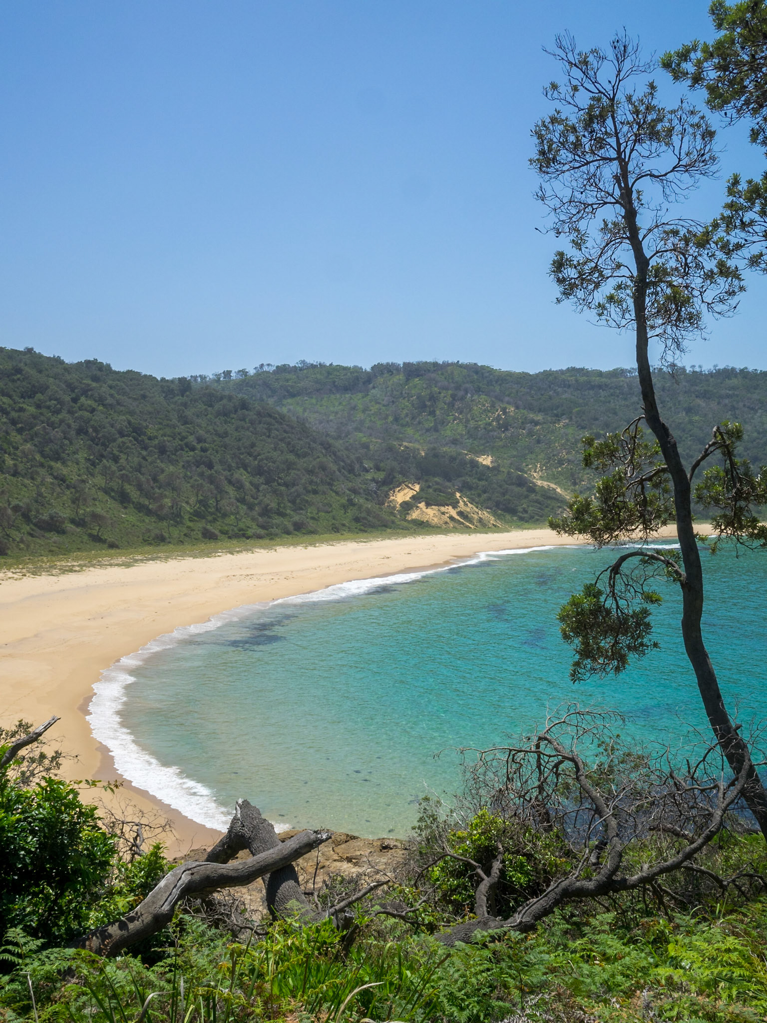 Steamers Beach turquoise waters