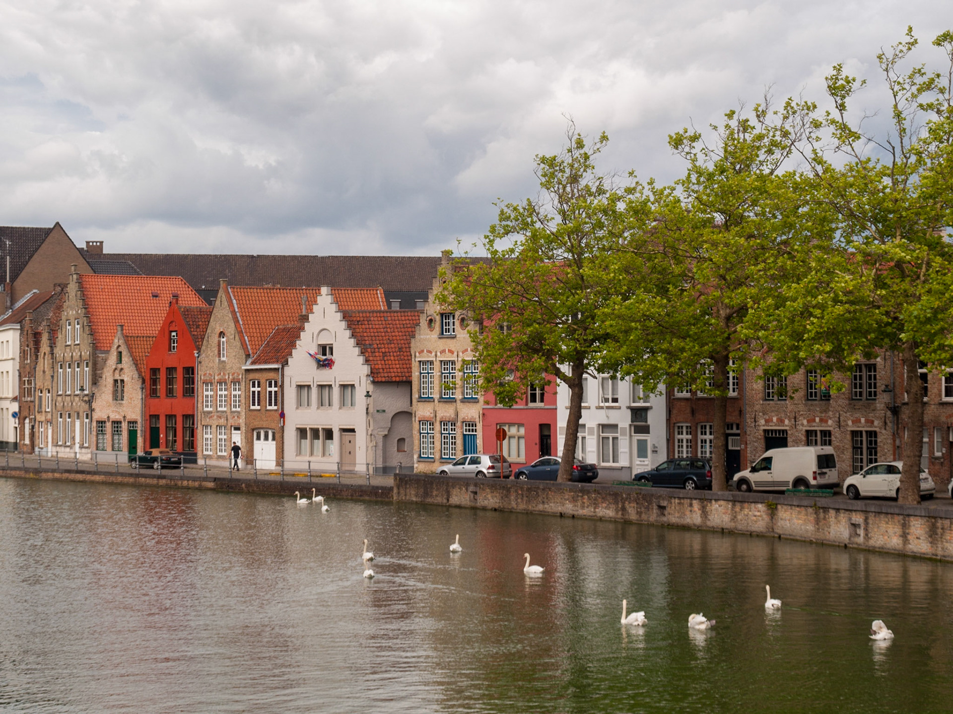 Bruges canal with swans in the water