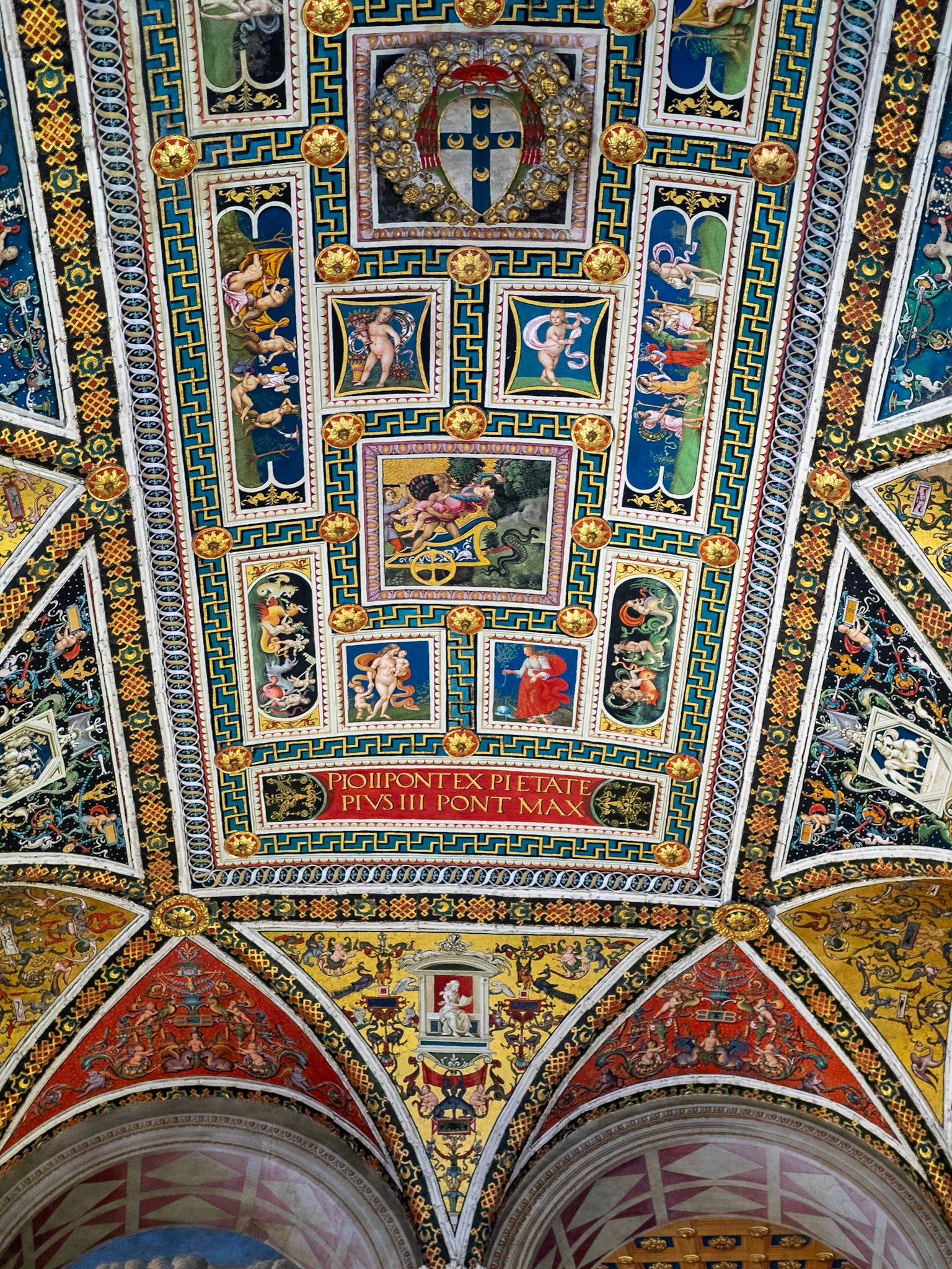 Ceiling fresco, by Bernardino di Betto, Piccolomini Library, Siena Cathedral