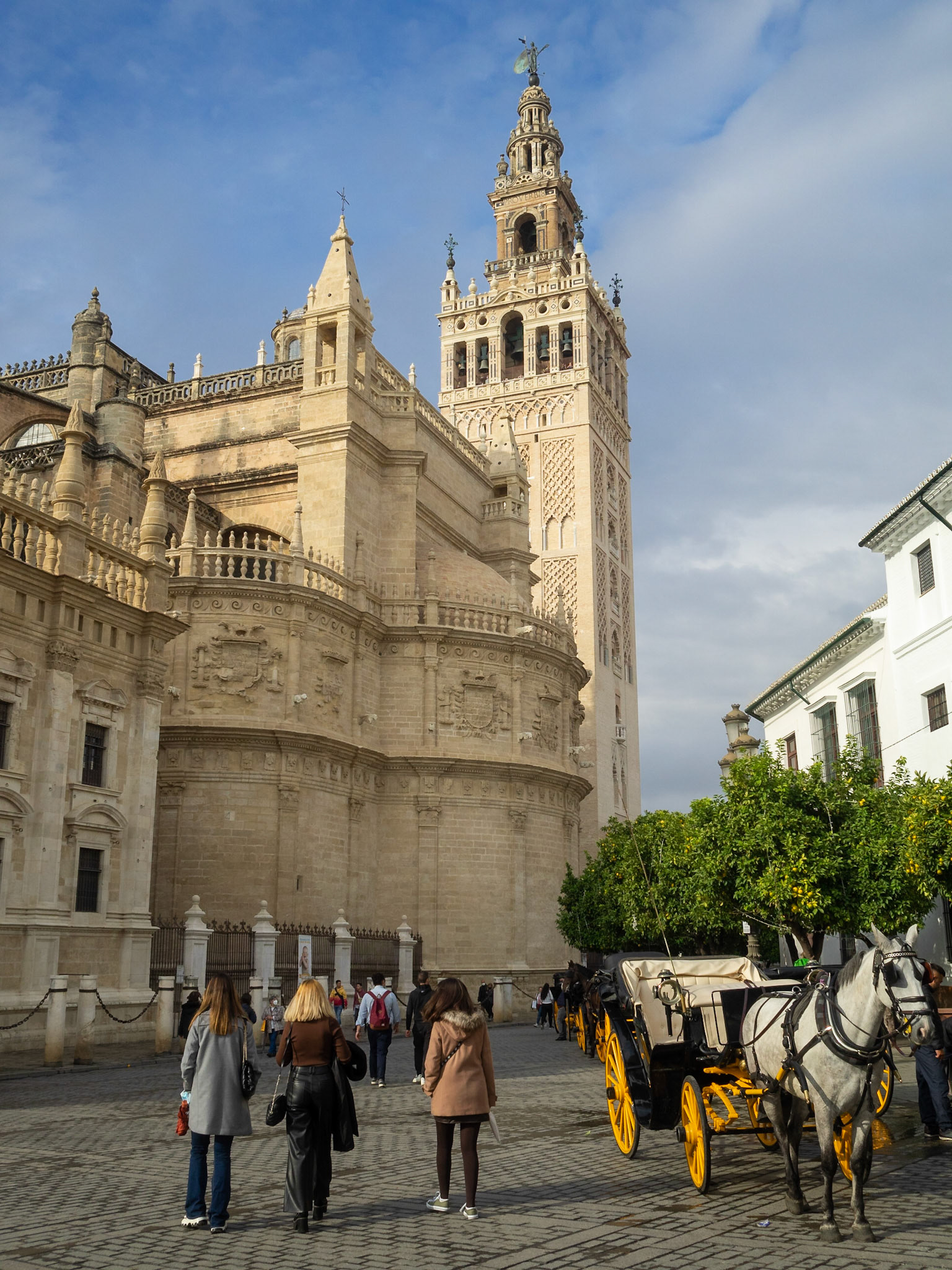 Horse cart by the Giralda tower, Seville