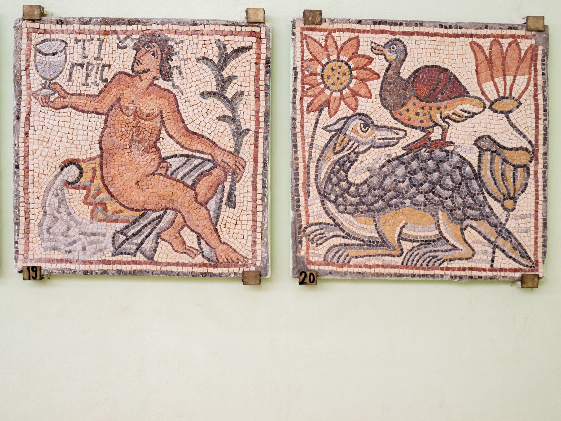 Qasr Libya Byzantin mosaic 19 and 20