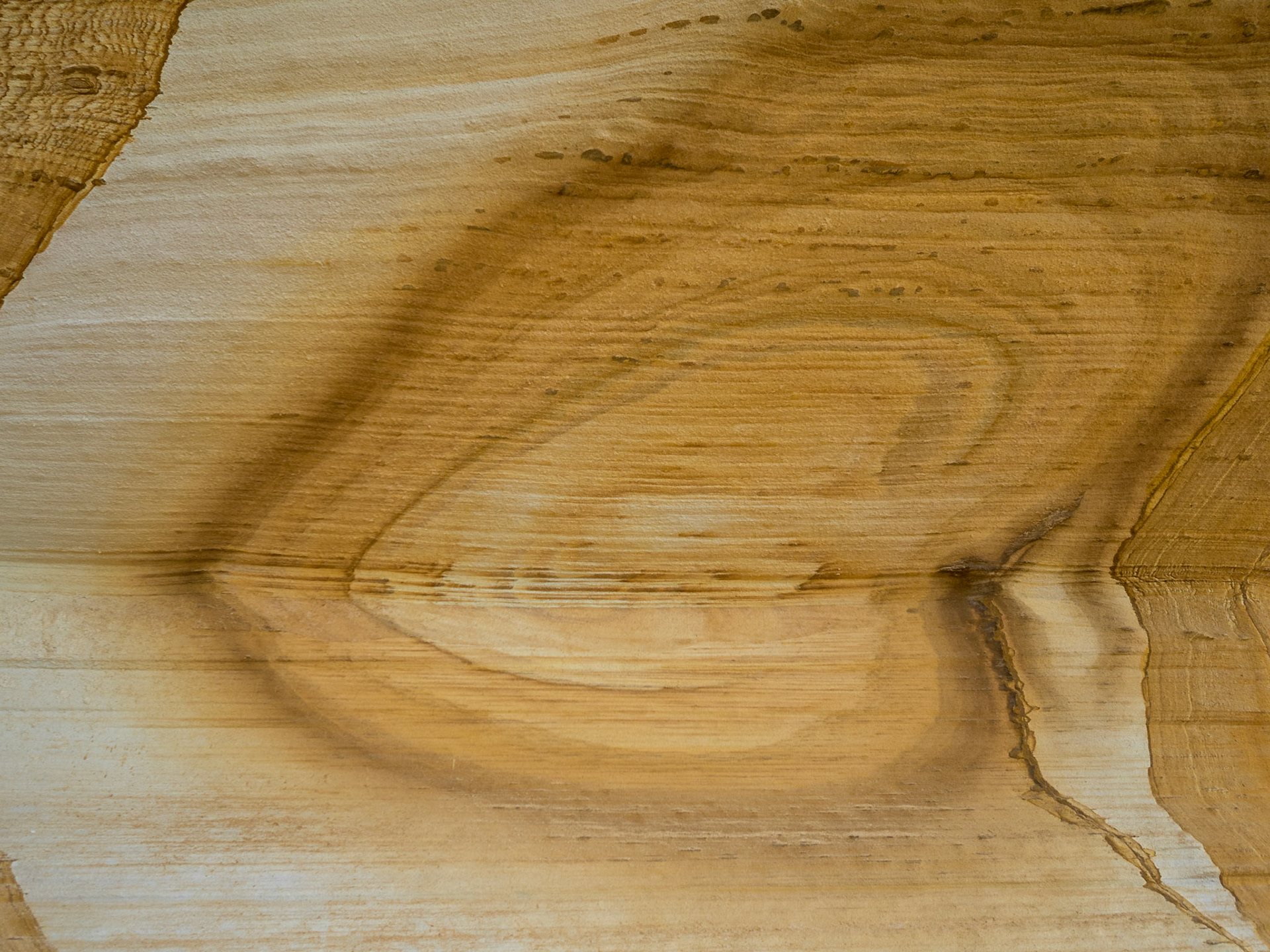 Rock patterns of Maria Island Painted Cliffs