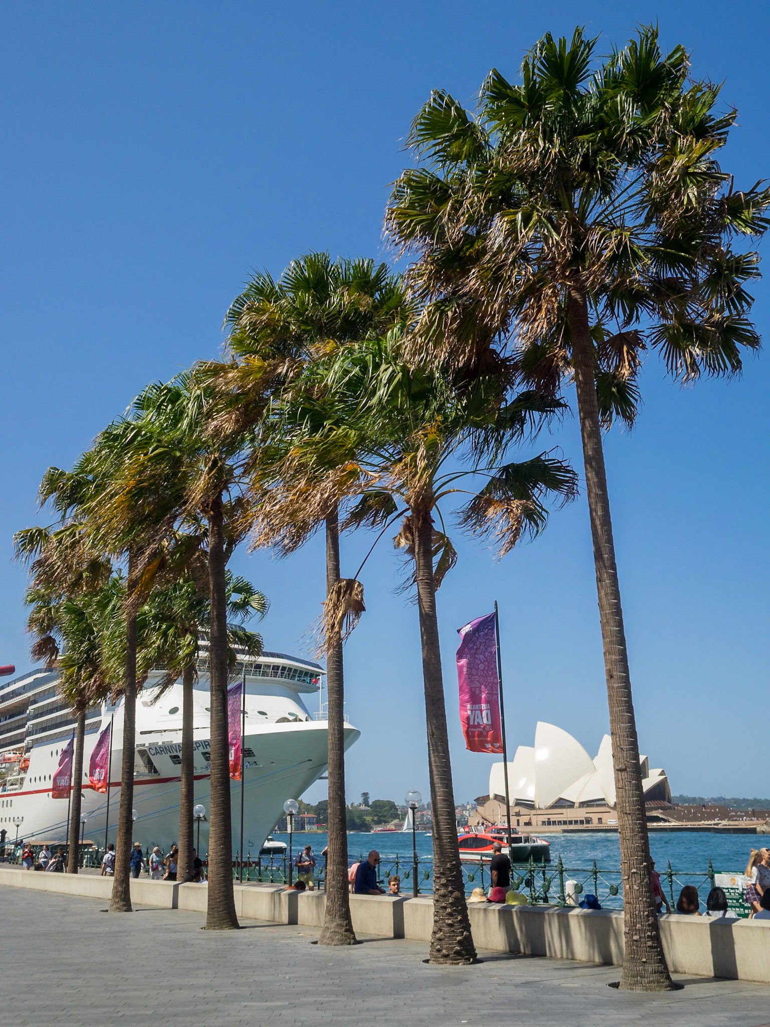 Cruise ship docked in Sydney Circular Quay