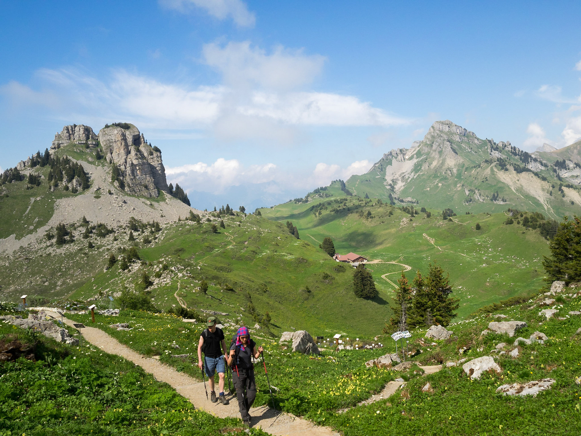 Trecking Schynige Platte