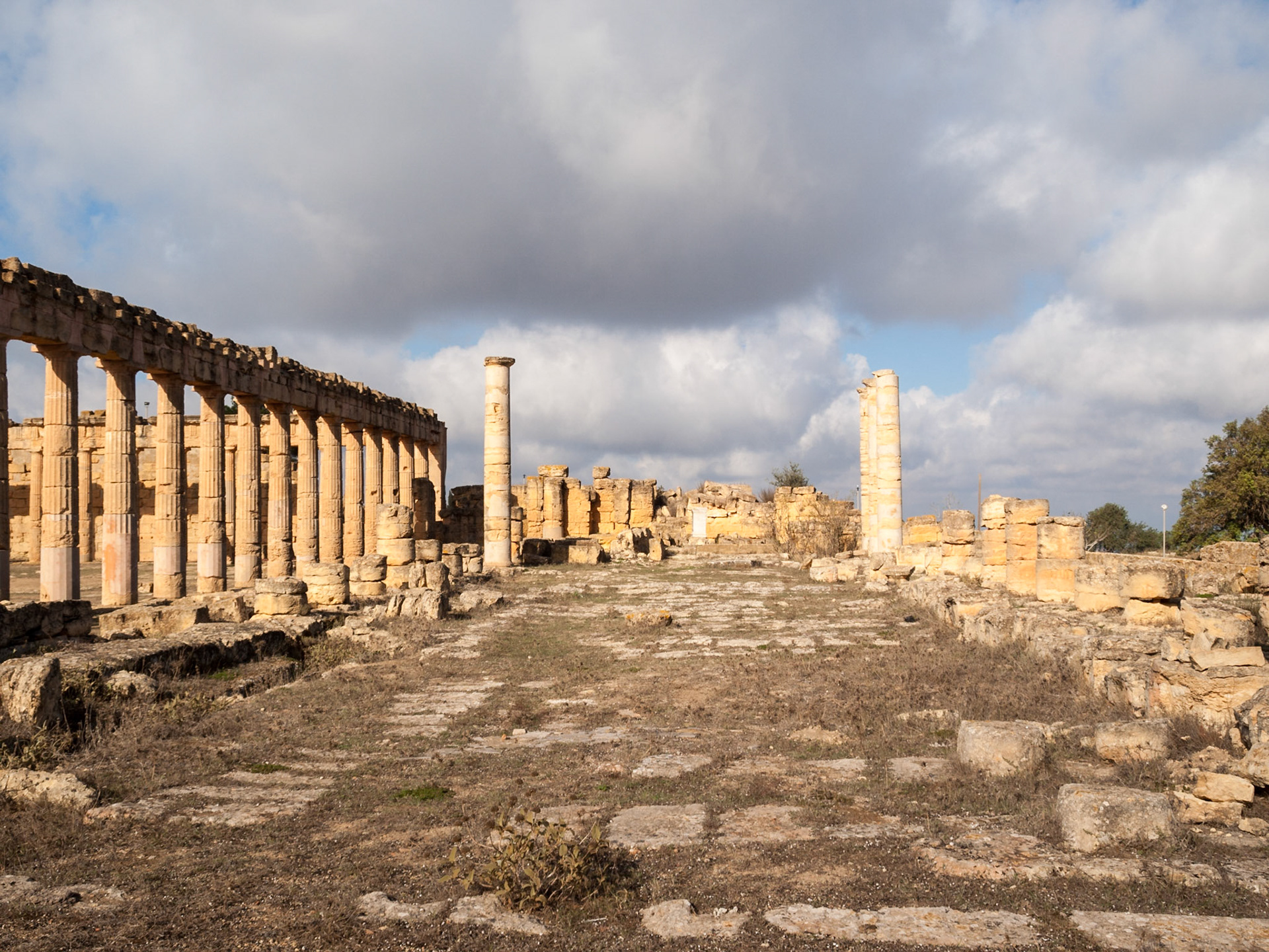 Ruins of the Basilica in Cyrene
