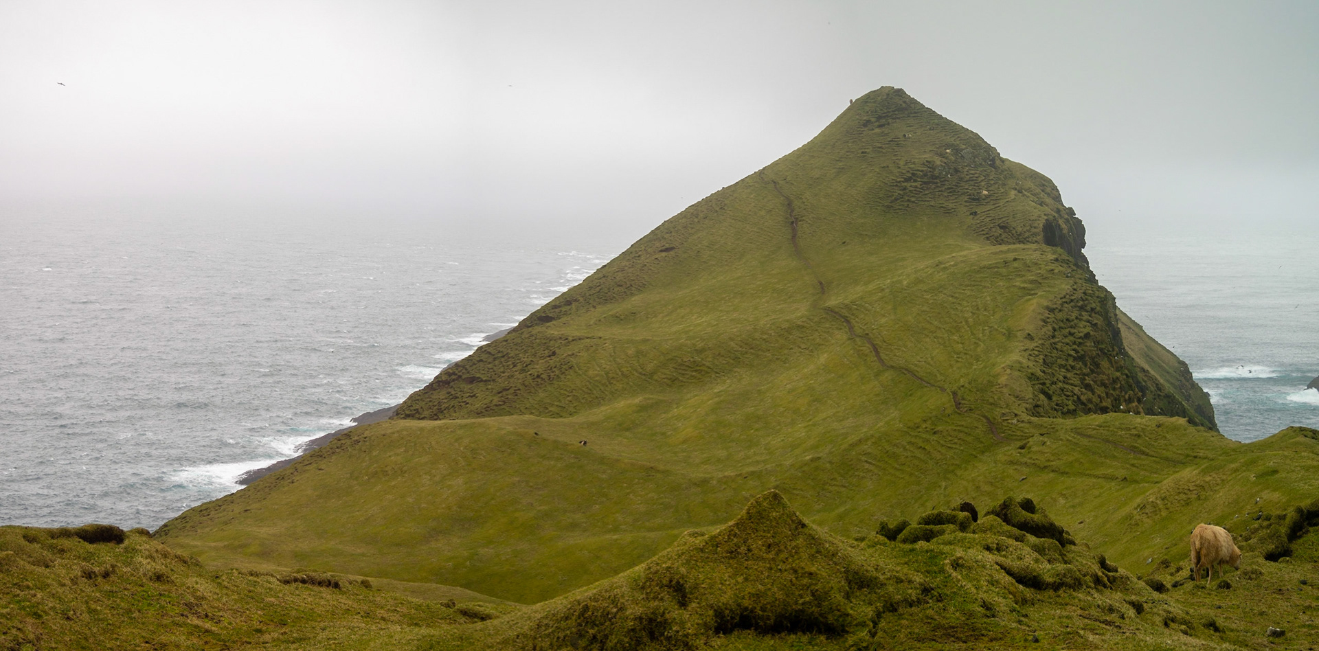 Mykineshólmur covered in green grass over the sea