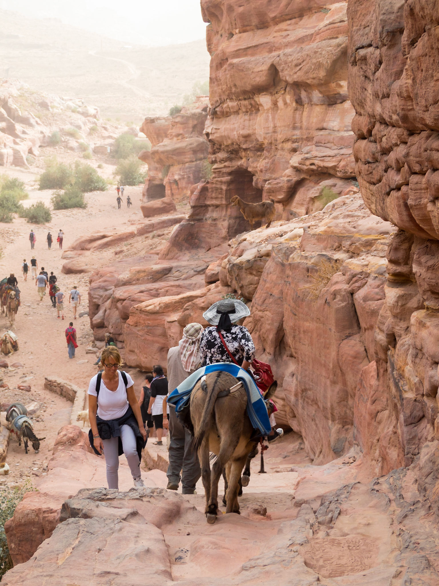 Tourists going up the path between the rocks to the Monastery in Petra