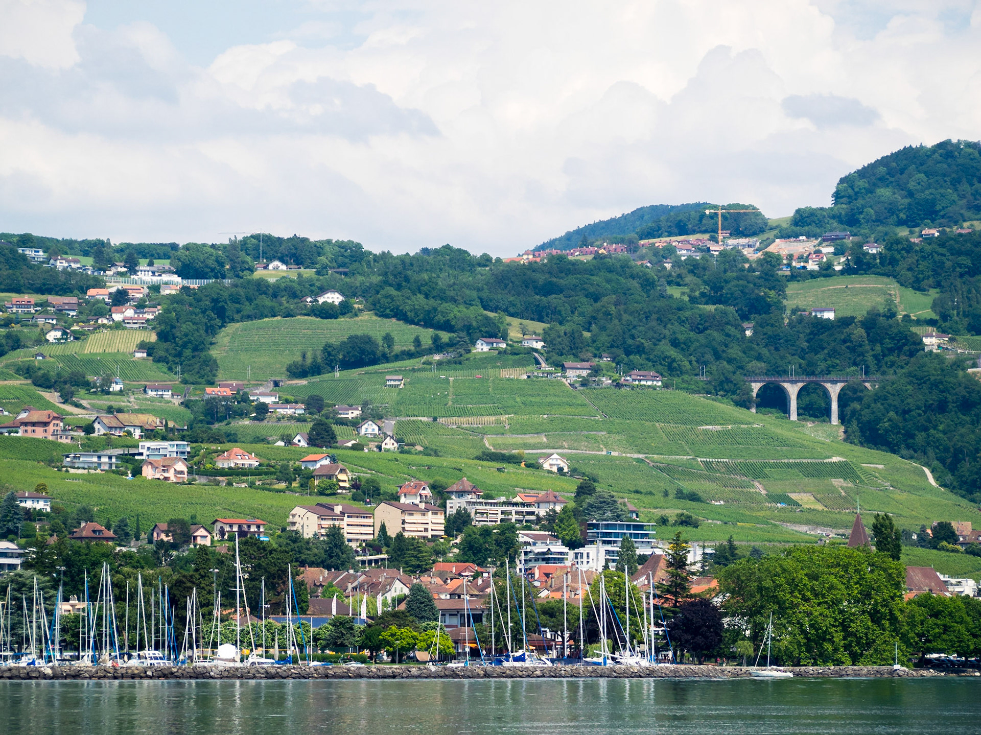 Vineyards along Lake Geneva margins