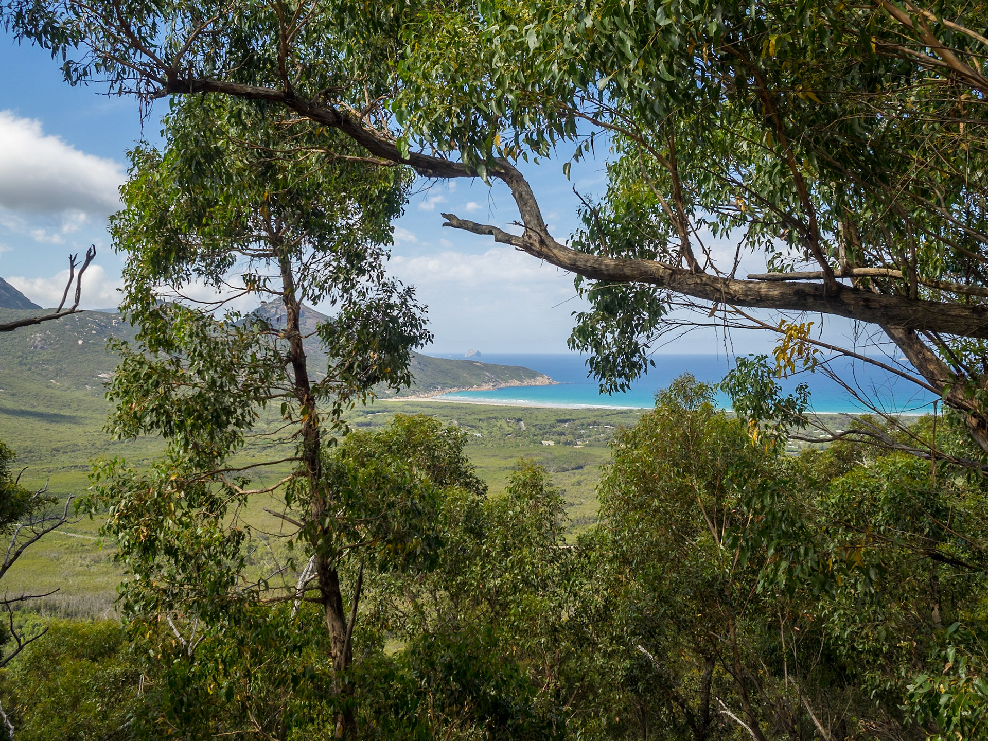 Views across Wilsons Promontory from the Lilly Pilly Gully Circuit, Victoria, Australia