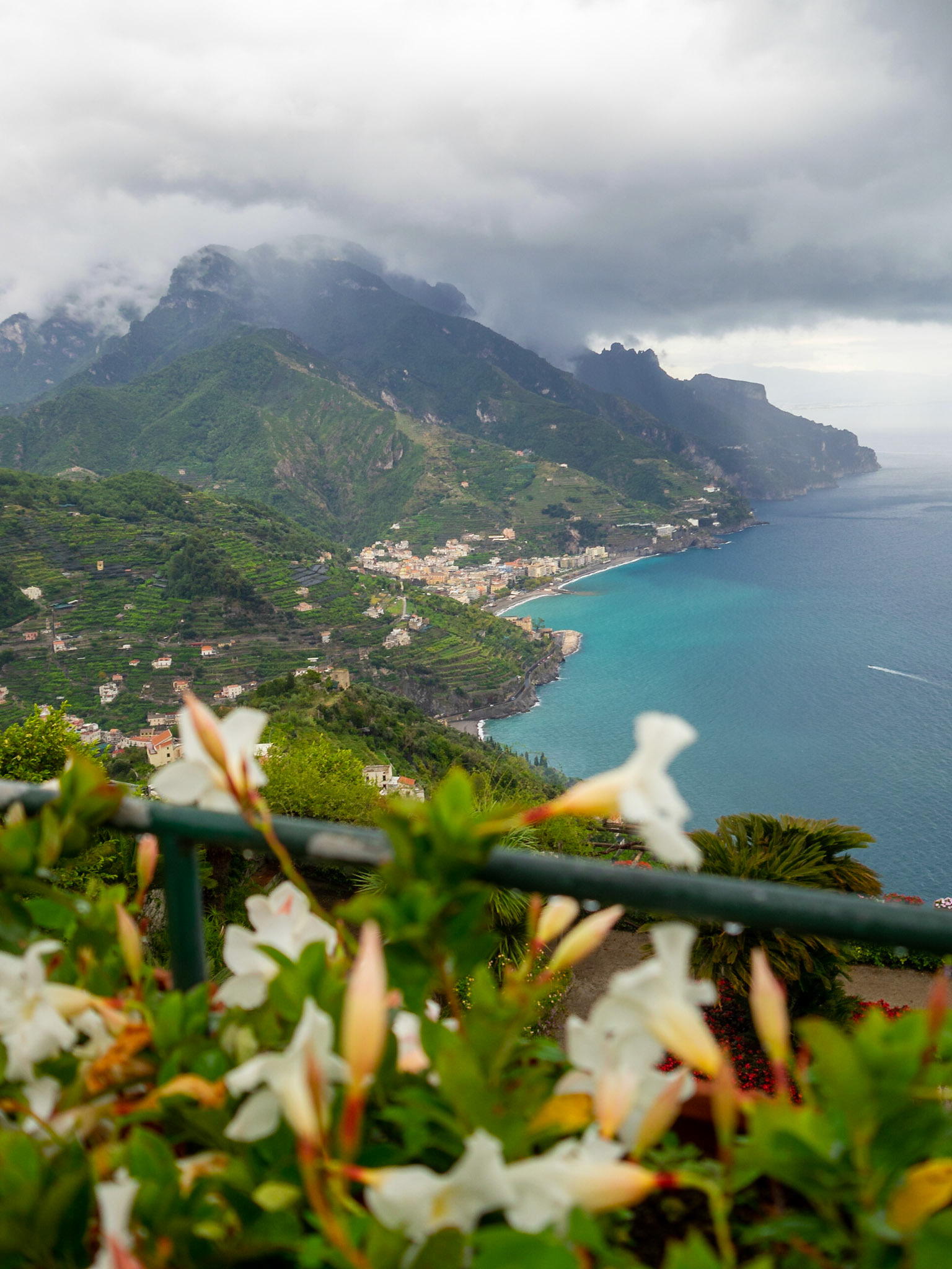 White flowers at Villa Rufolo gardens with the Amalfi Coast in background