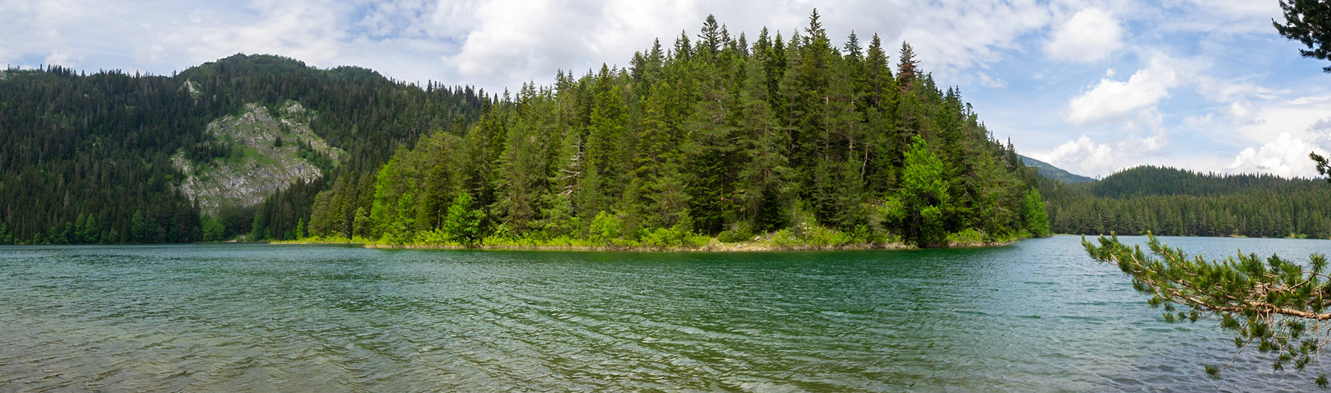 Durmitor Black Lake and the dark pine forest panorama