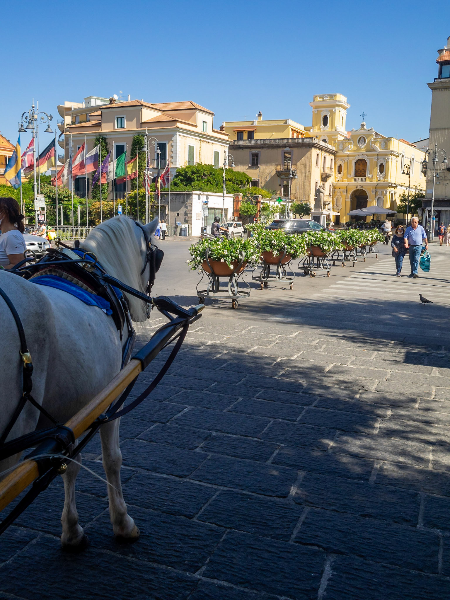 Horse cart in Sorrento square