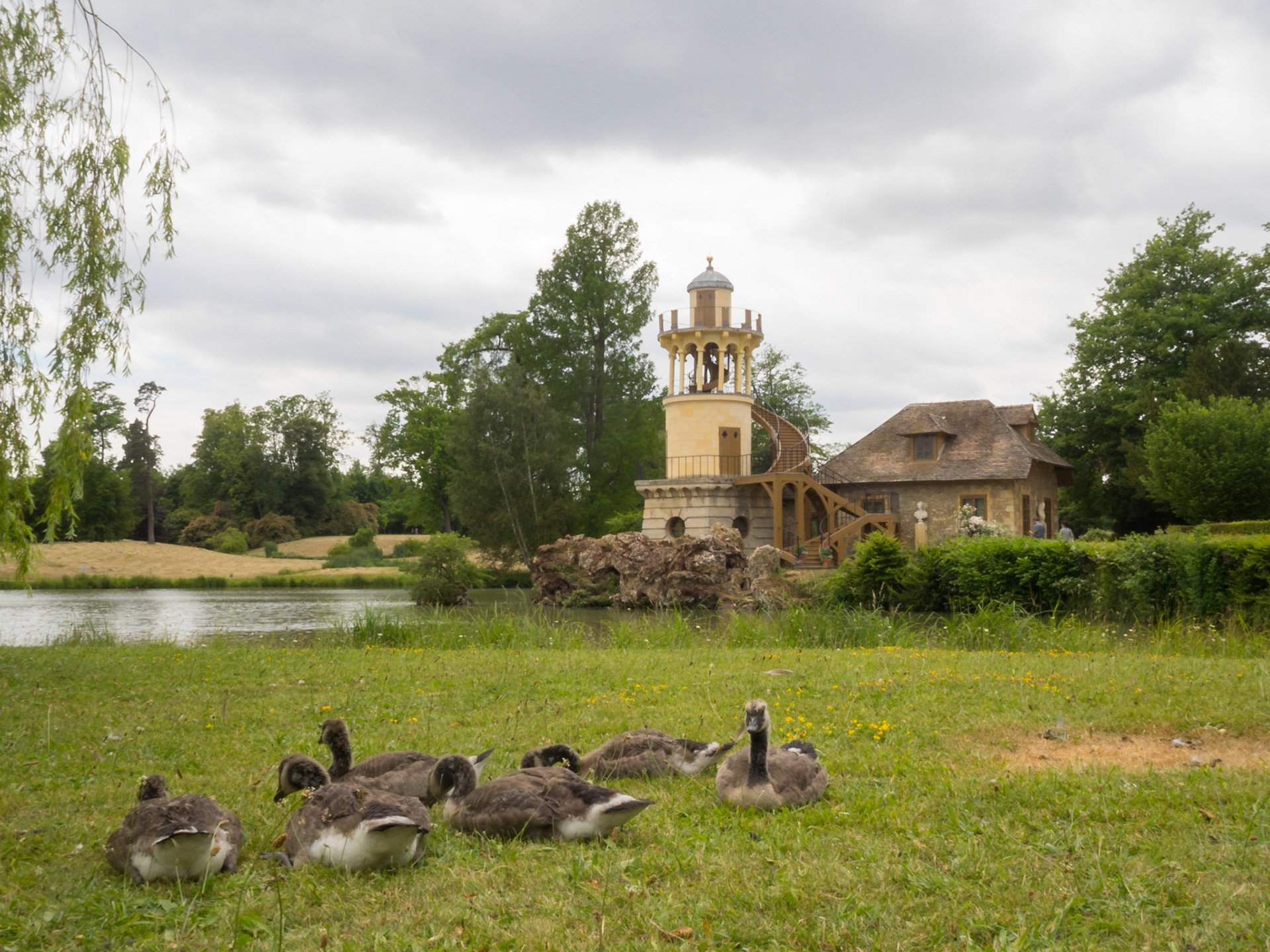 Ducks by the lake at Marie-Antoinette's estate