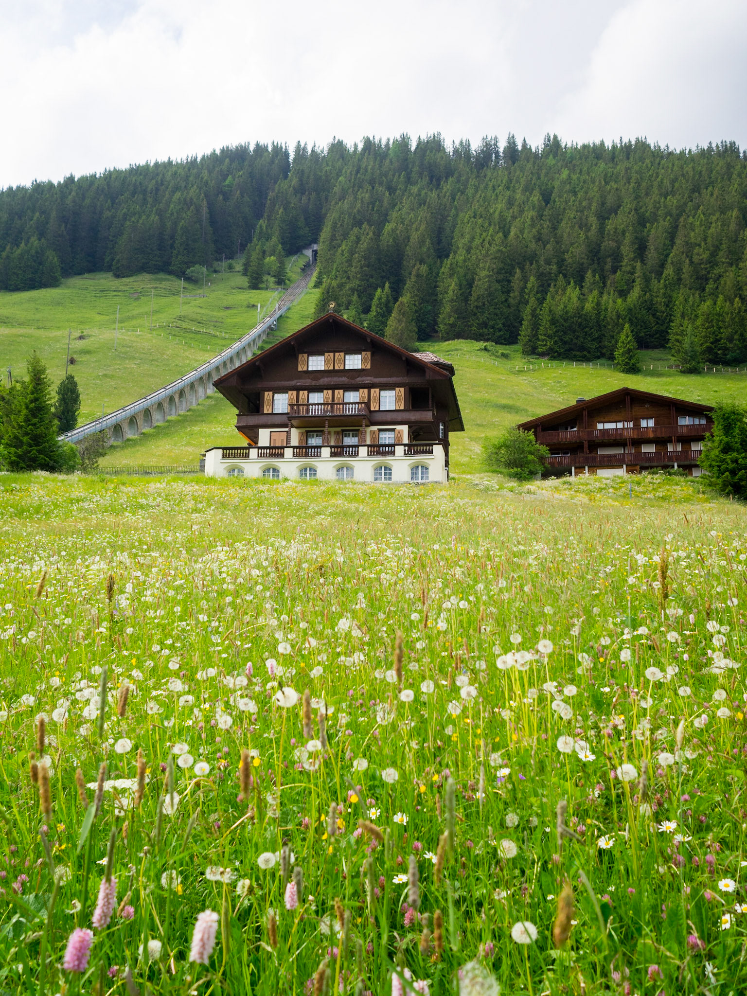 Spring flowers and Swiss houses