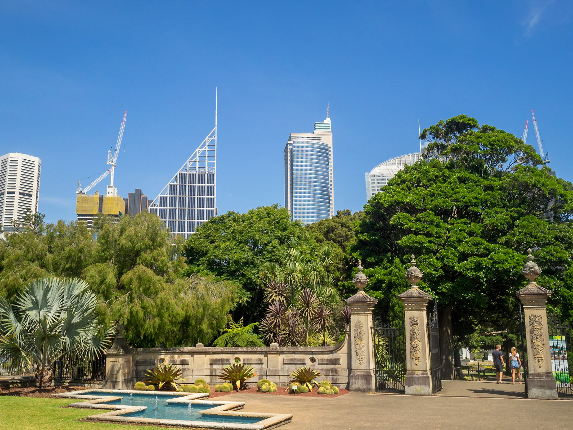 Sydney's Royal Botanic Gardens entrance with CBD skyscrapers in background