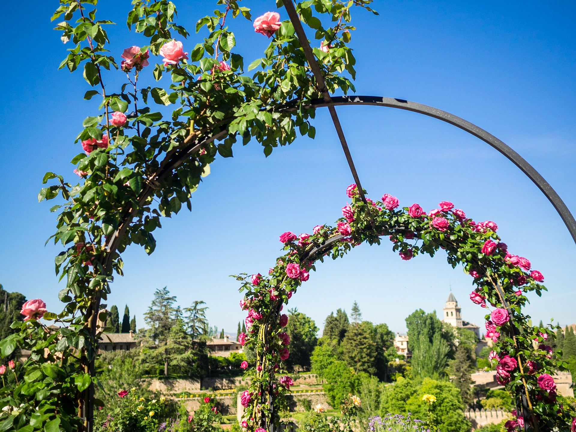 Lower Generalife gardens