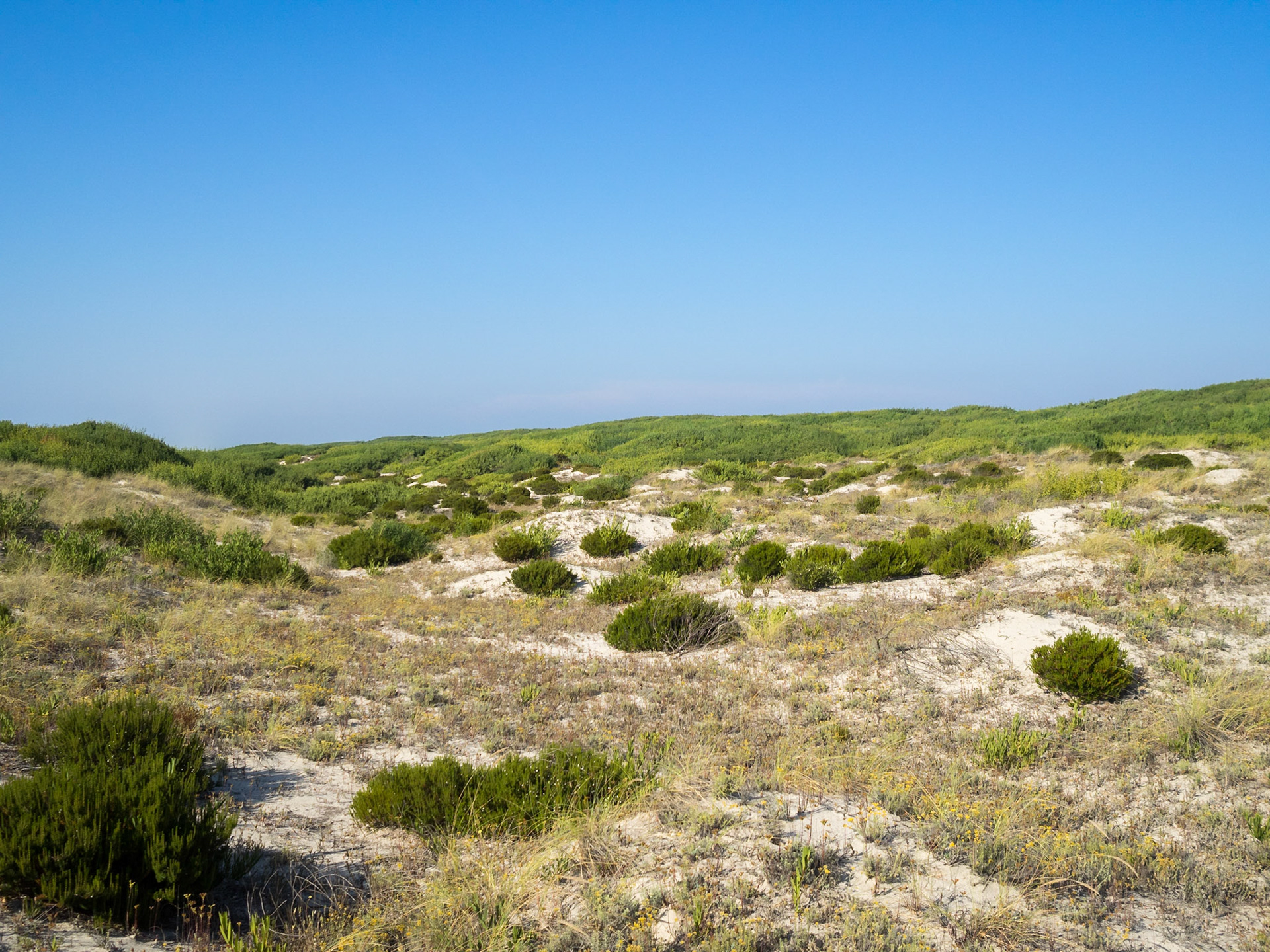 São Jacinto Dunes Nature Park