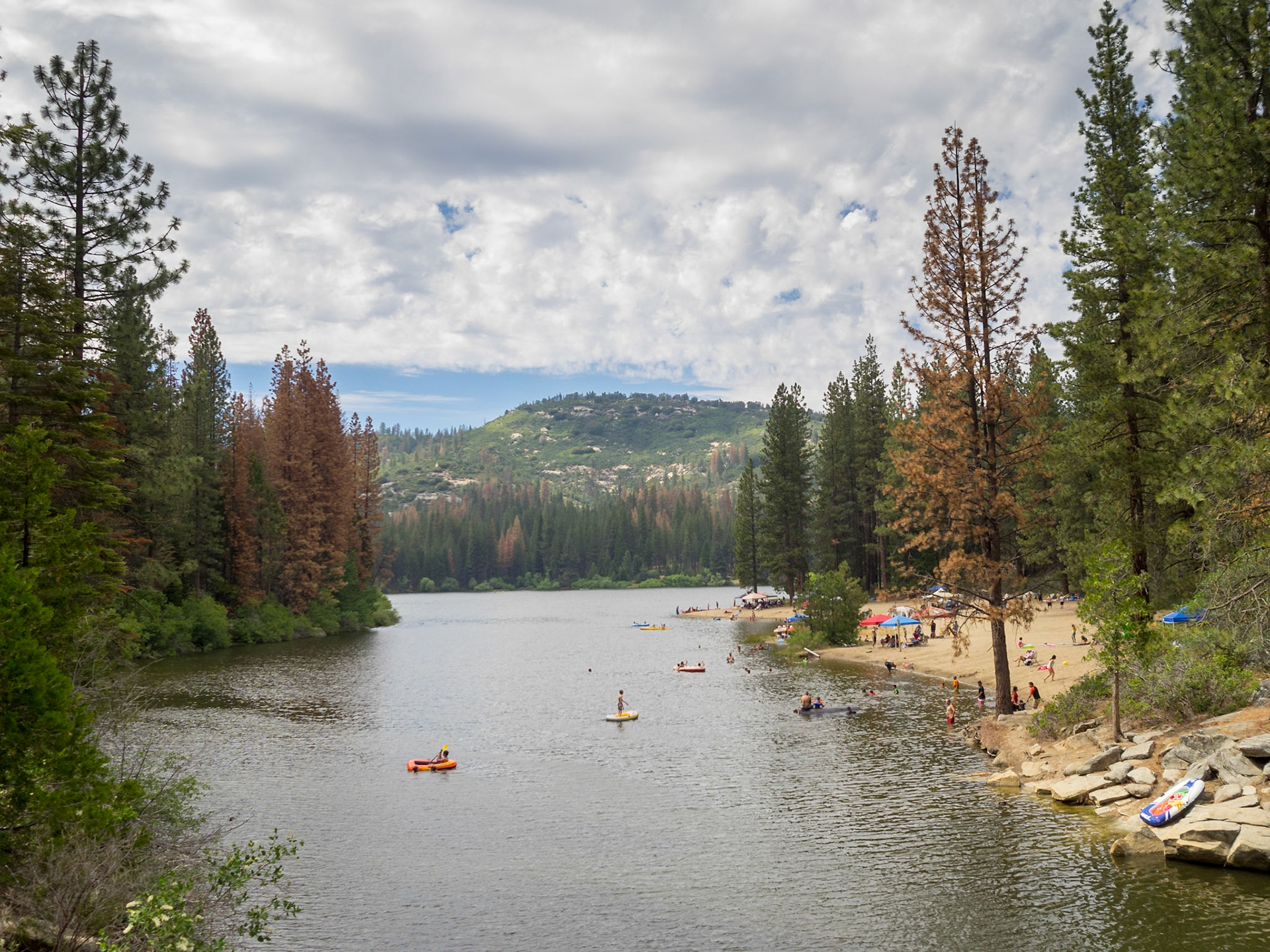 Hume Lake landscape