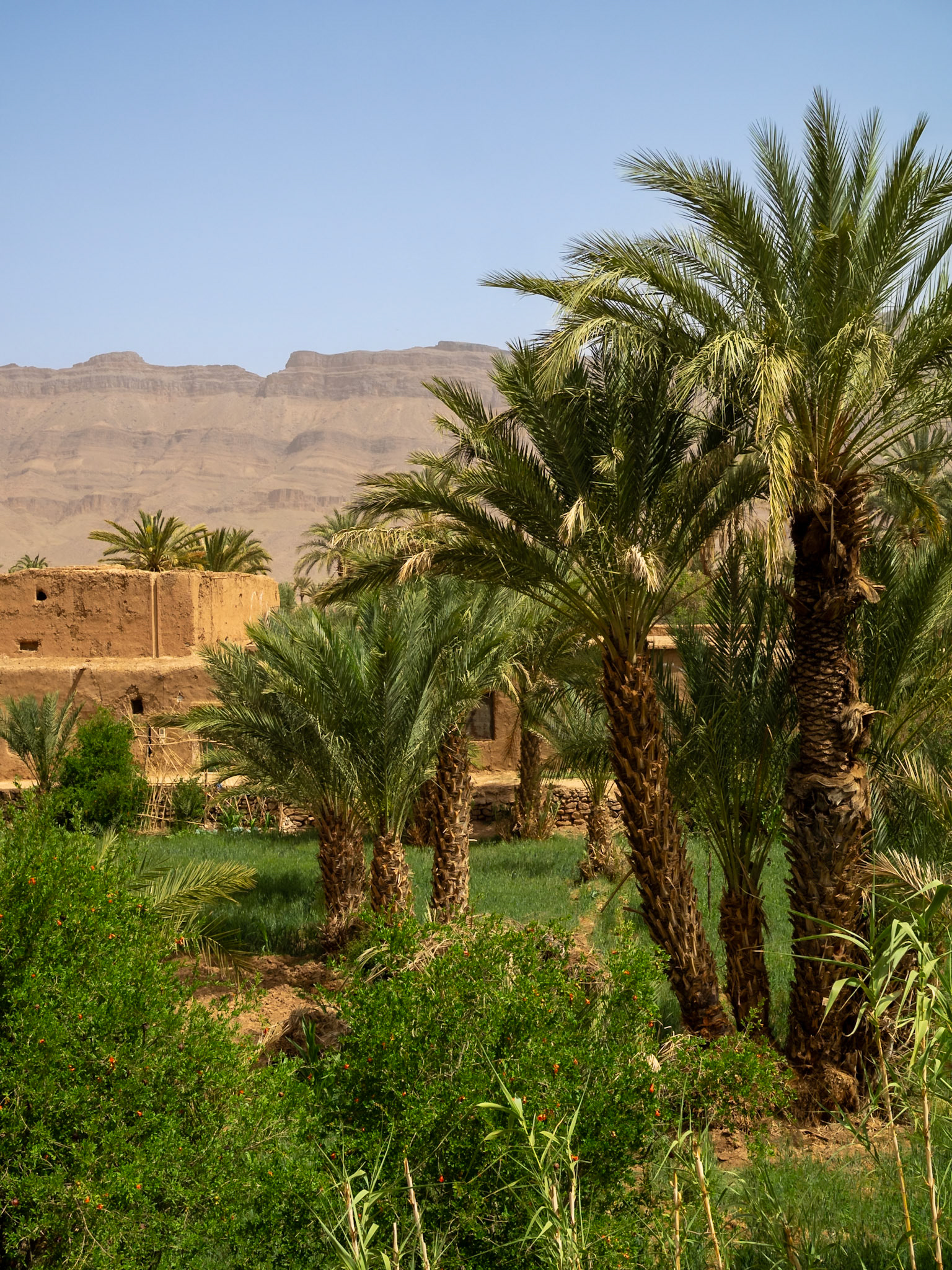 High Atlas Mountains green and acher landscape, Morocco