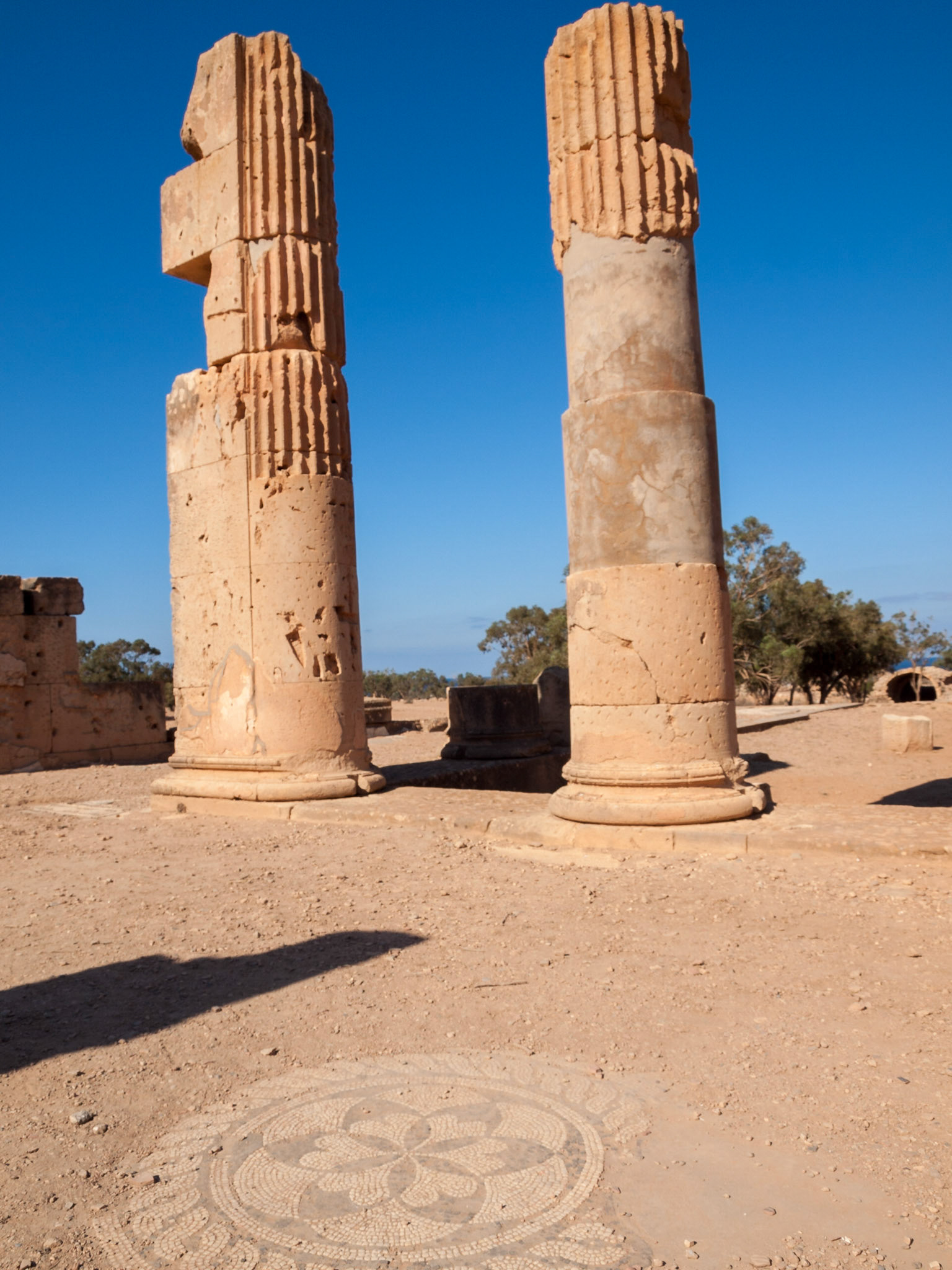 Mosaic and columns in Villa of Columns in Tolmeita